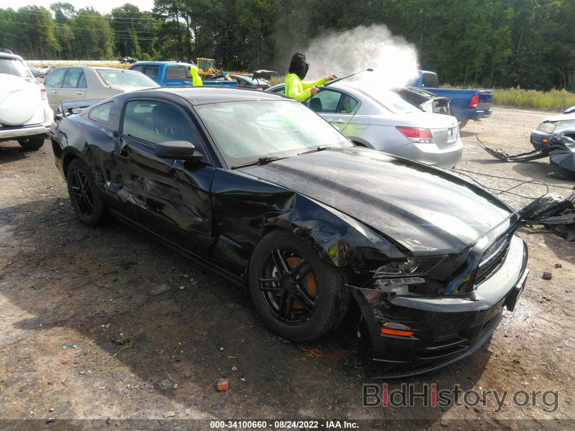 Photo 1ZVBP8AM8E5241316 - FORD MUSTANG 2014