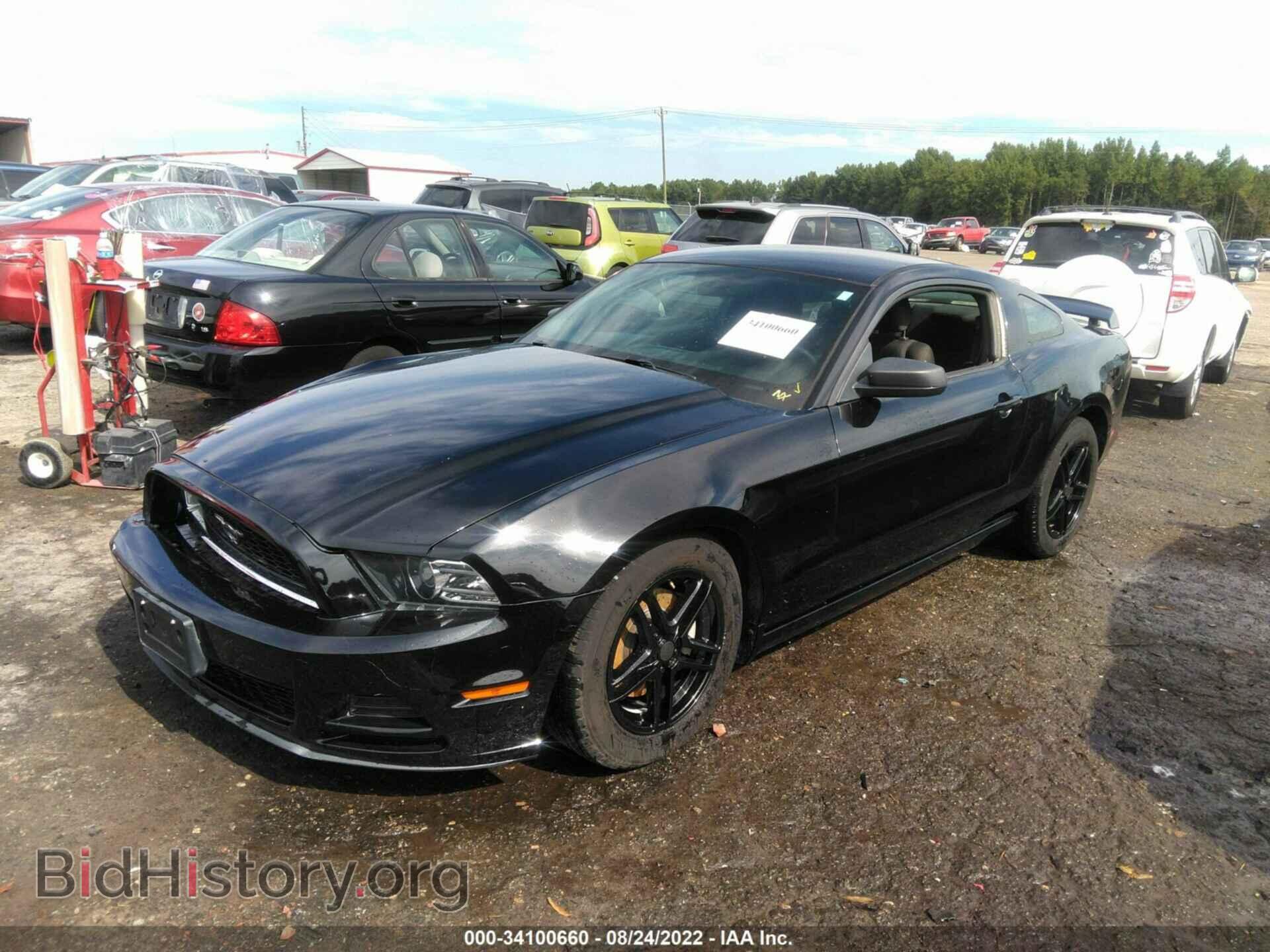 2014 FORD MUSTANG - VIN: 1ZVBP8AM8E5241316 - Фото 2
