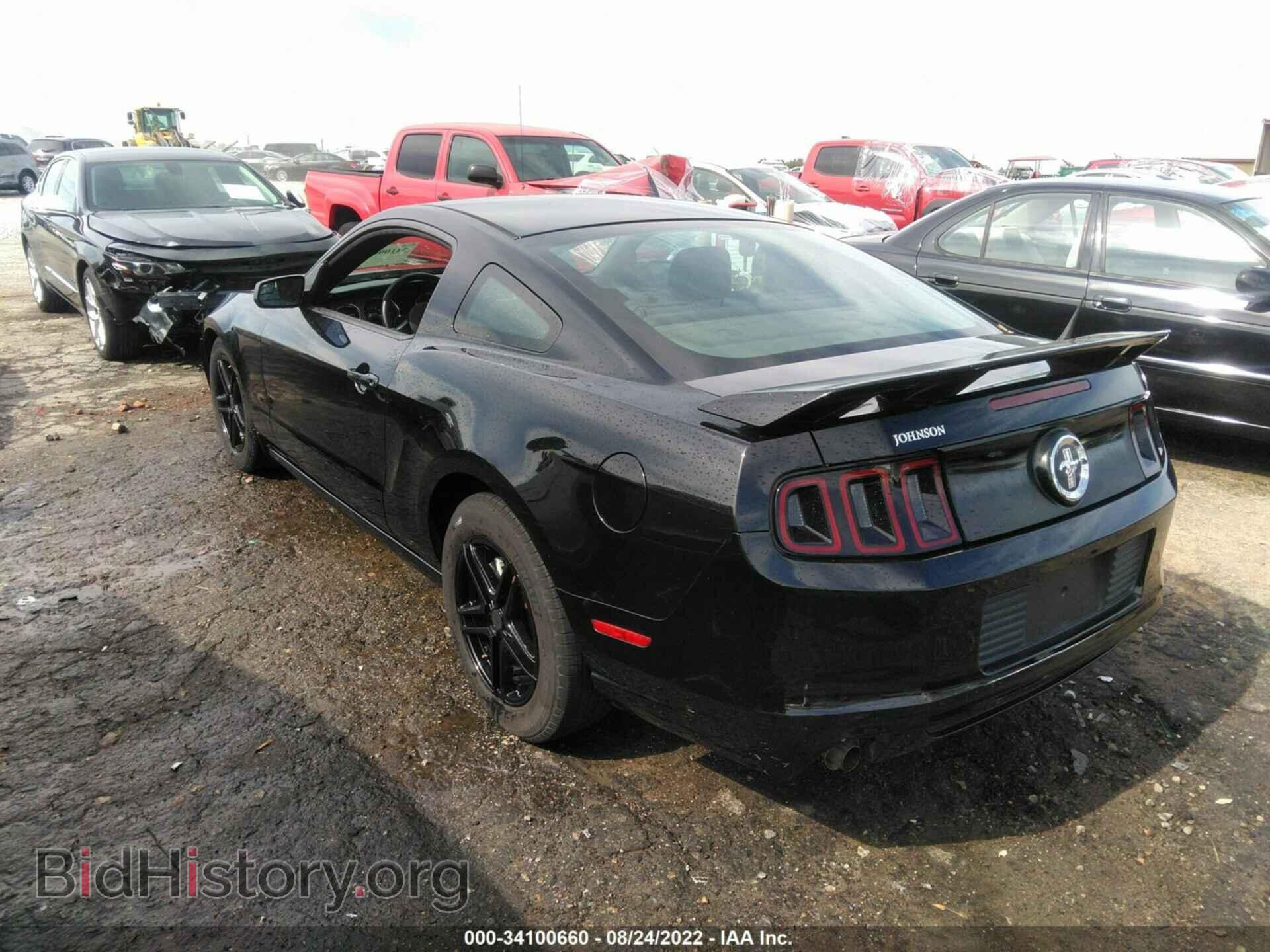 2014 FORD MUSTANG - VIN: 1ZVBP8AM8E5241316 - Фото 3