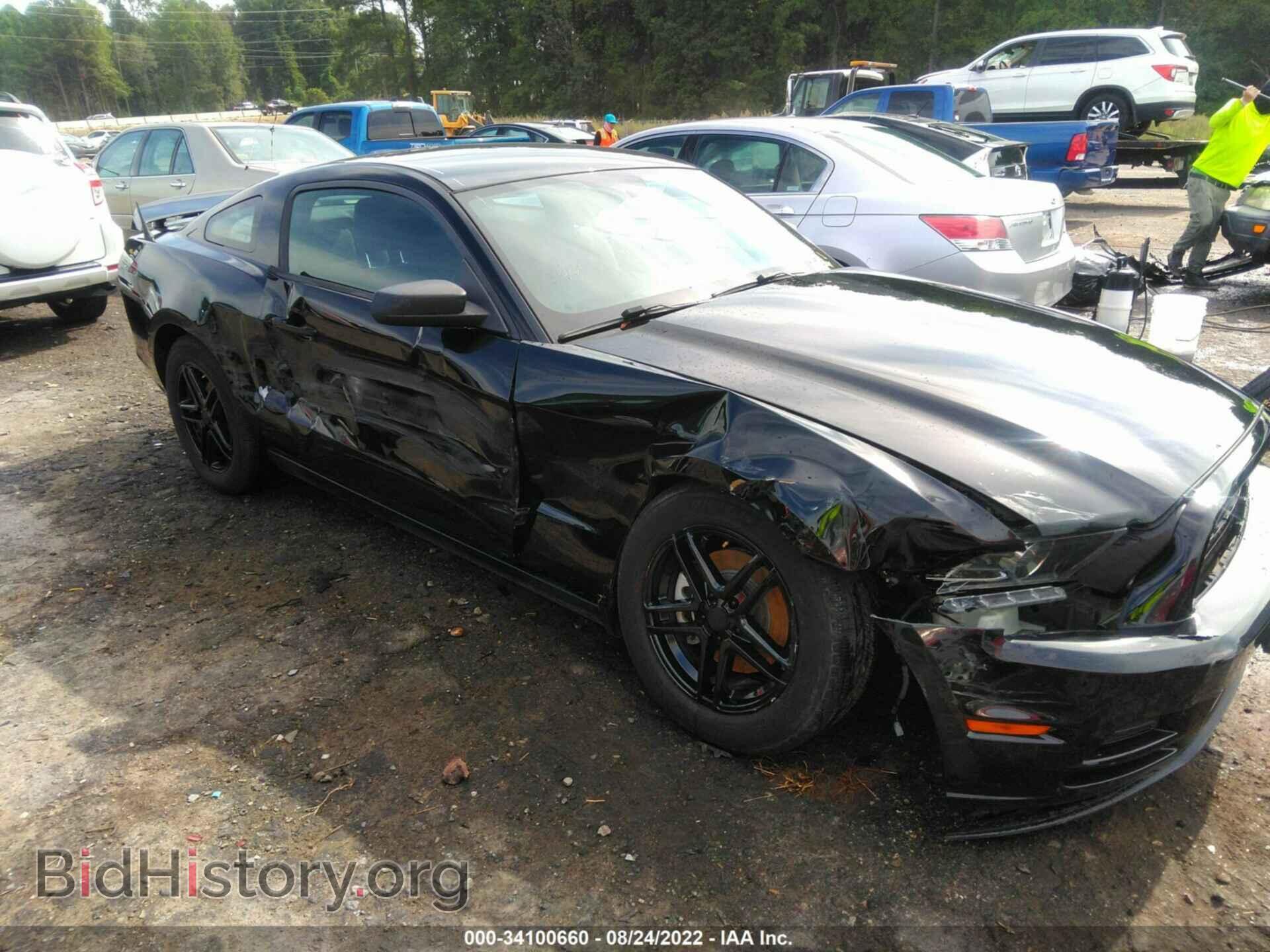 2014 FORD MUSTANG - VIN: 1ZVBP8AM8E5241316 - Фото 6