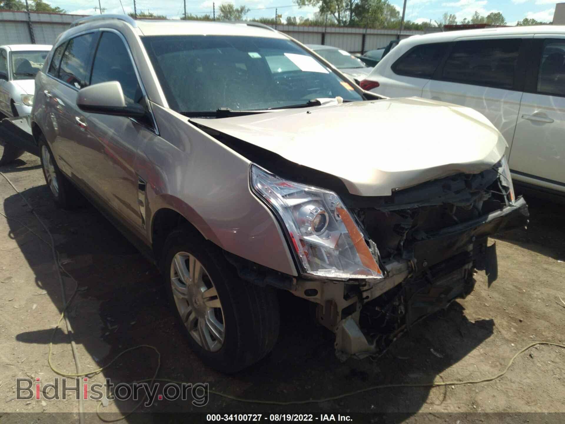 Photo 3GYFNDEY7BS602952 - CADILLAC SRX 2011