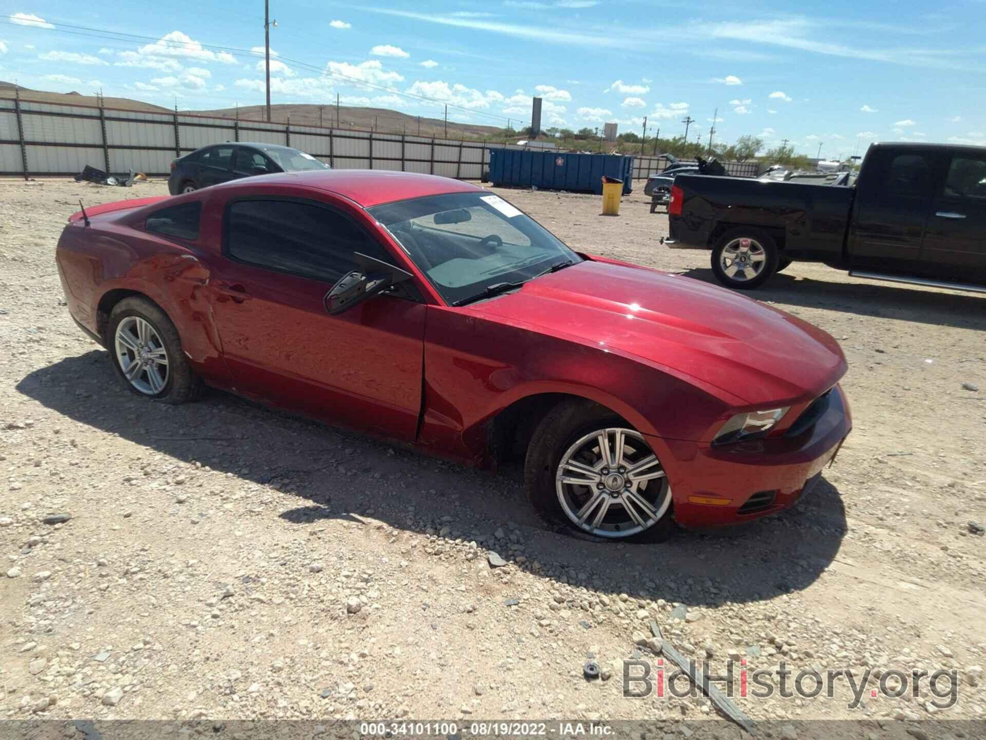 Photo 1ZVBP8AN0A5174939 - FORD MUSTANG 2010