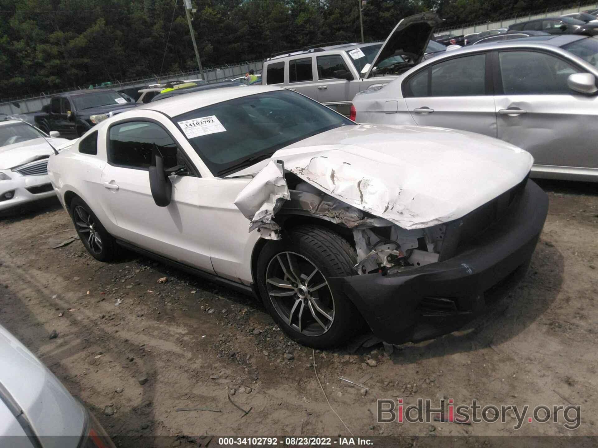 Photo 1ZVBP8AN9A5138232 - FORD MUSTANG 2010
