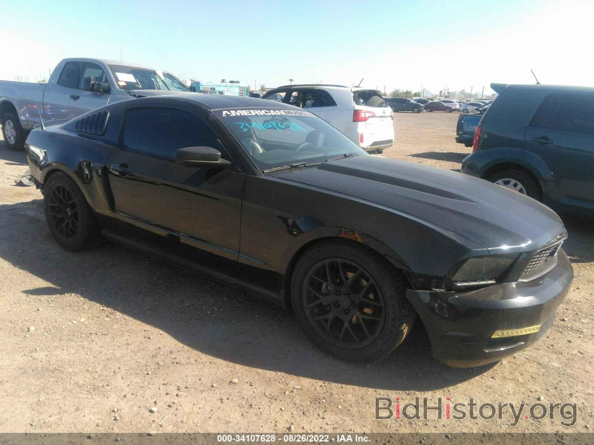 Photo 1ZVBP8AN8A5173277 - FORD MUSTANG 2010