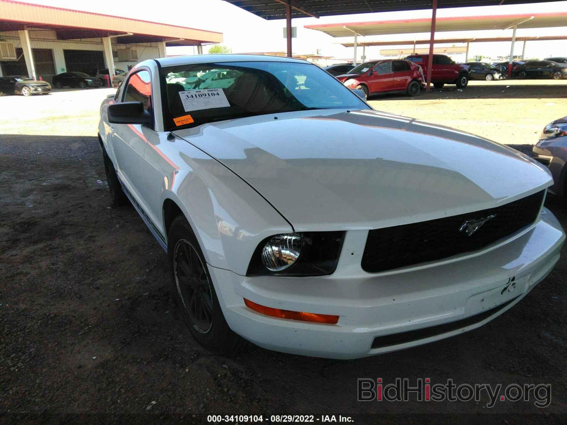 Photo 1ZVHT80N585116973 - FORD MUSTANG 2008