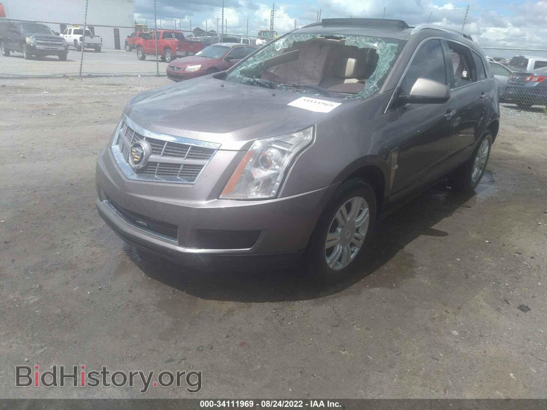 2011 CADILLAC SRX - VIN: 3GYFNAEY7BS631804 - Фото 2