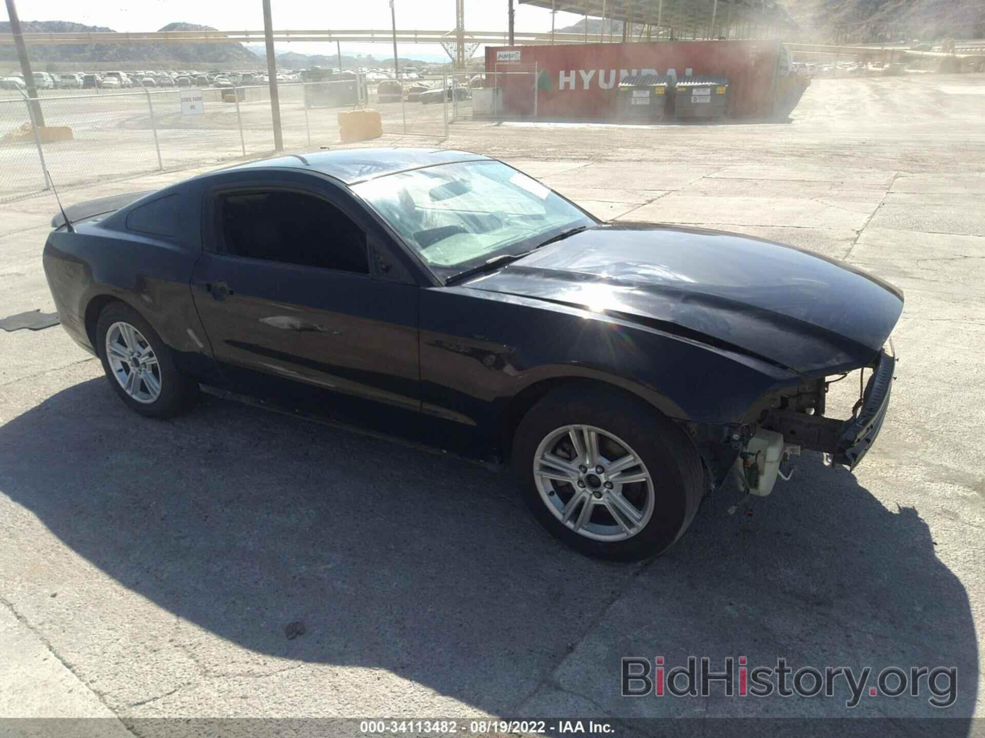 Photo 1ZVBP8AM0E5219665 - FORD MUSTANG 2014