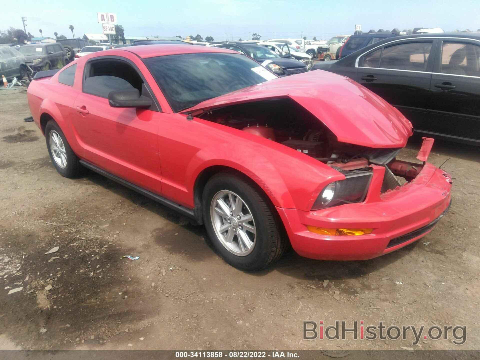 Photo 1ZVHT80NX85135096 - FORD MUSTANG 2008