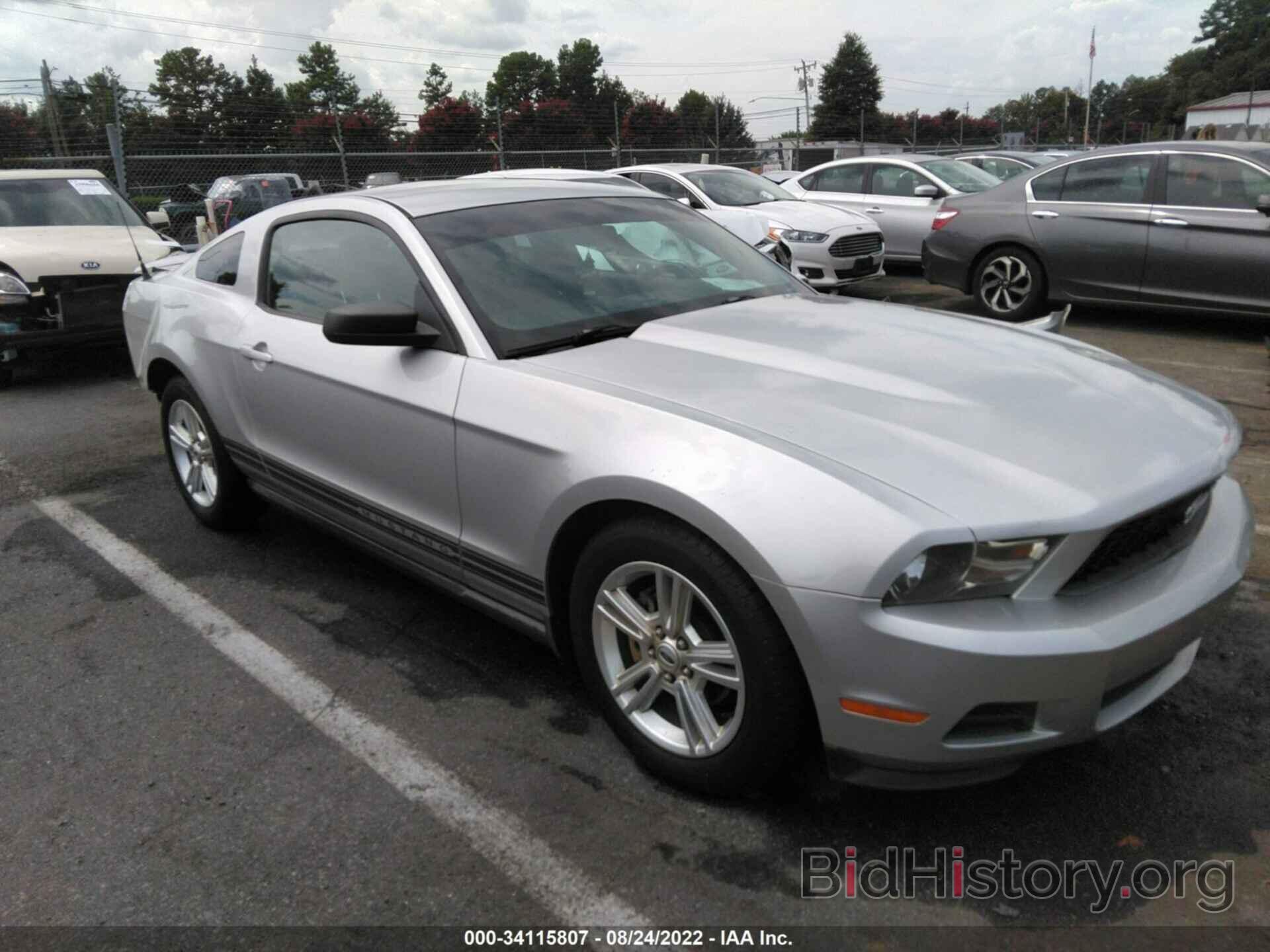 Photo 1ZVBP8AN5A5144531 - FORD MUSTANG 2010