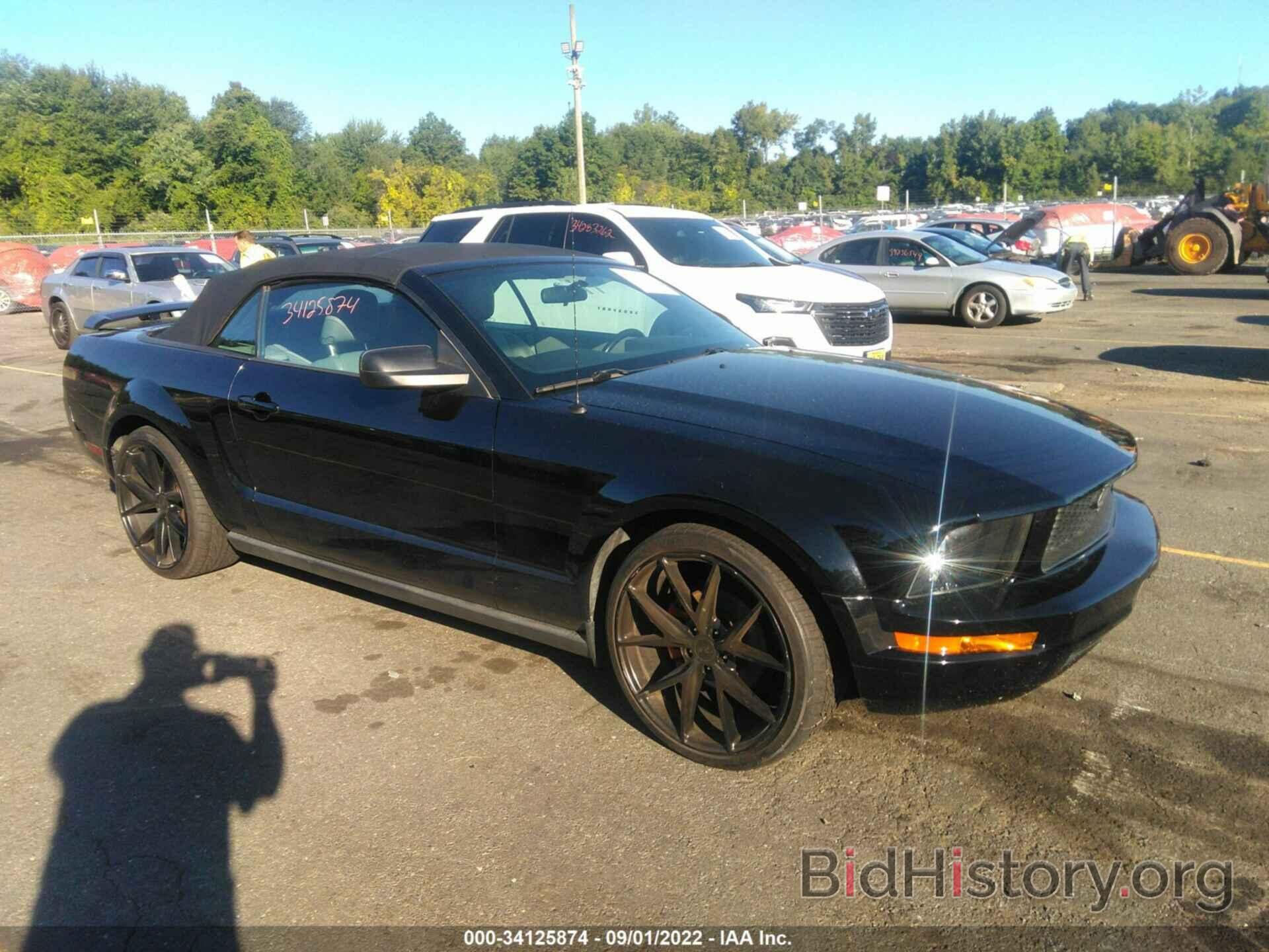 Photo 1ZVHT84N565245299 - FORD MUSTANG 2006