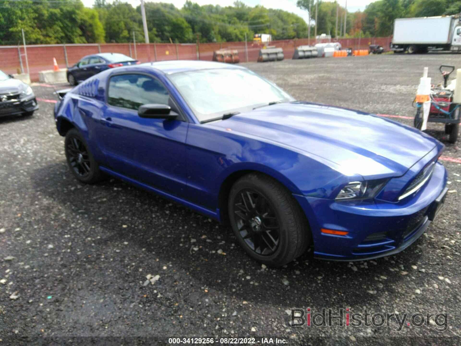 Photo 1ZVBP8AM3E5308212 - FORD MUSTANG 2014
