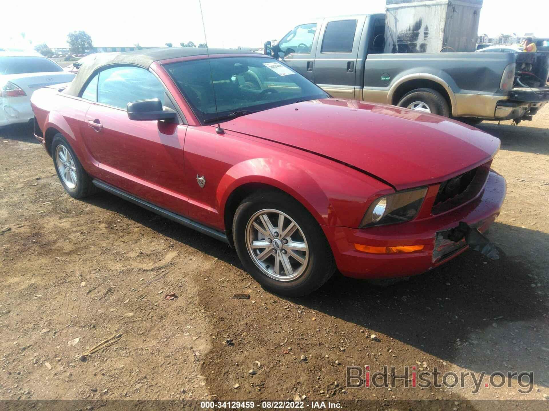 Photo 1ZVHT84N195112415 - FORD MUSTANG 2009