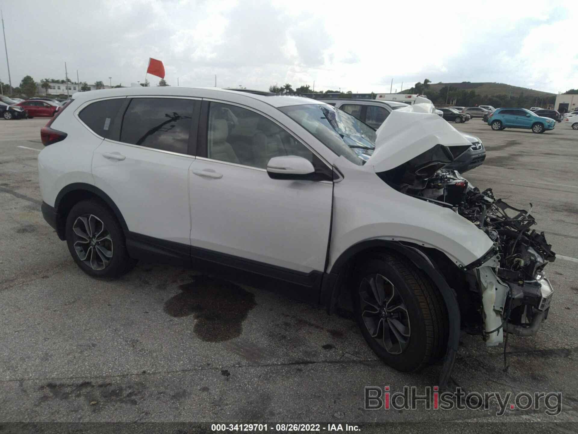 Photo 5J6RW1H89LL007466 - HONDA CR-V 2020