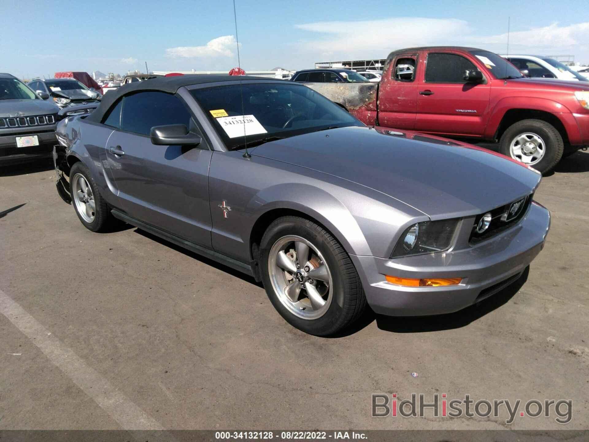 Photo 1ZVHT84N265118672 - FORD MUSTANG 2006