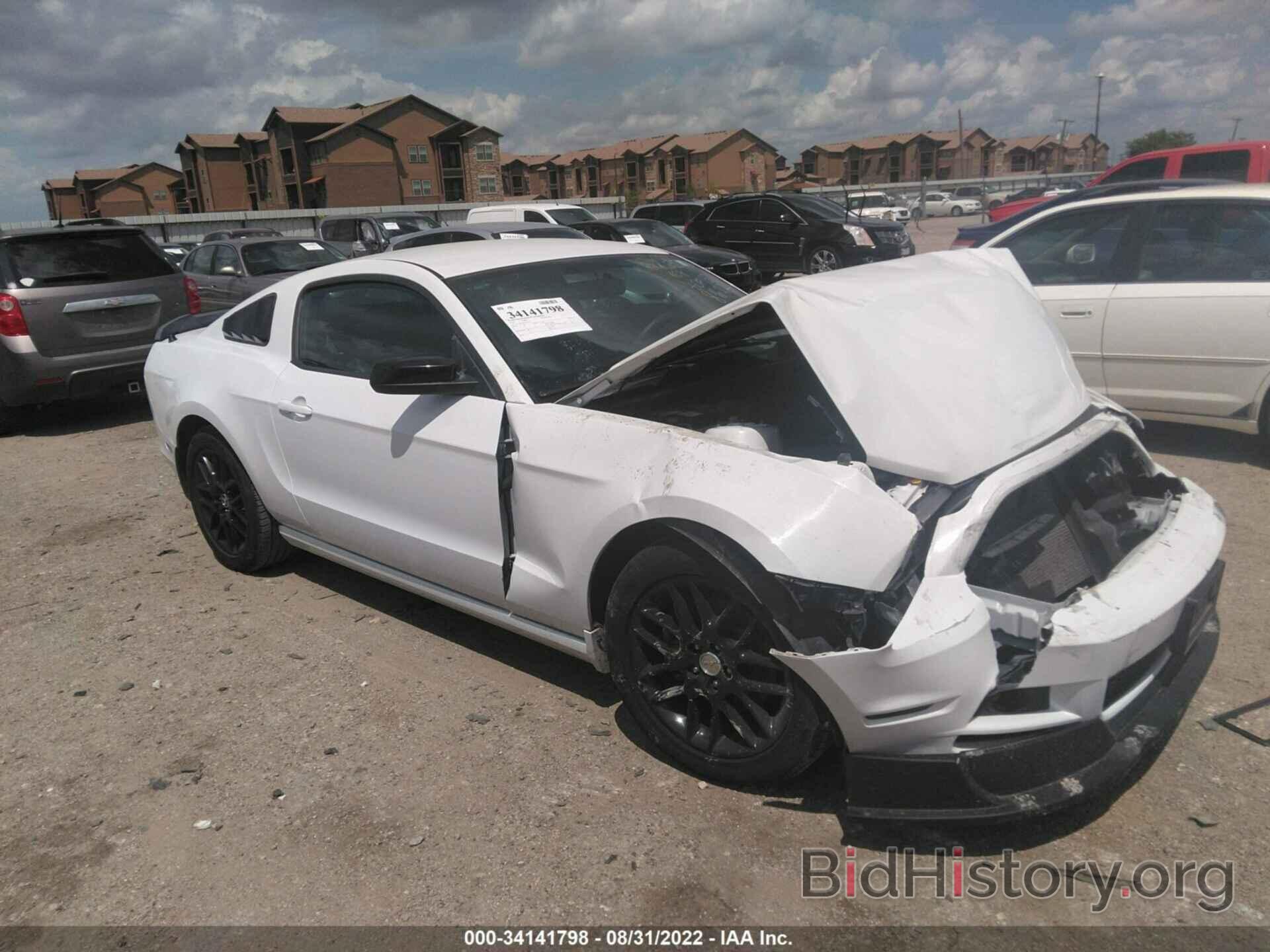 Photo 1ZVBP8AM5E5274791 - FORD MUSTANG 2014
