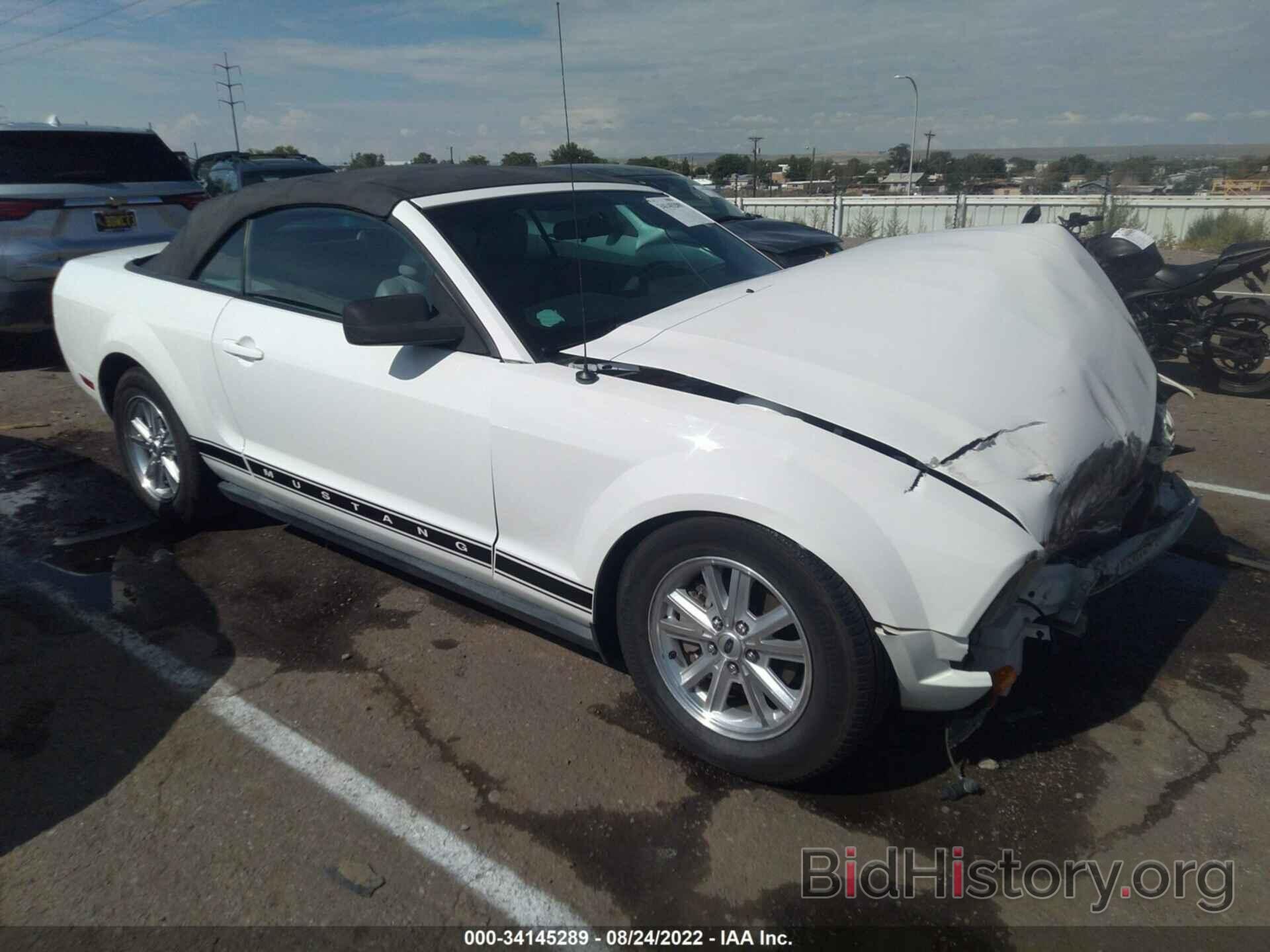 Photo 1ZVFT84N175223471 - FORD MUSTANG 2007