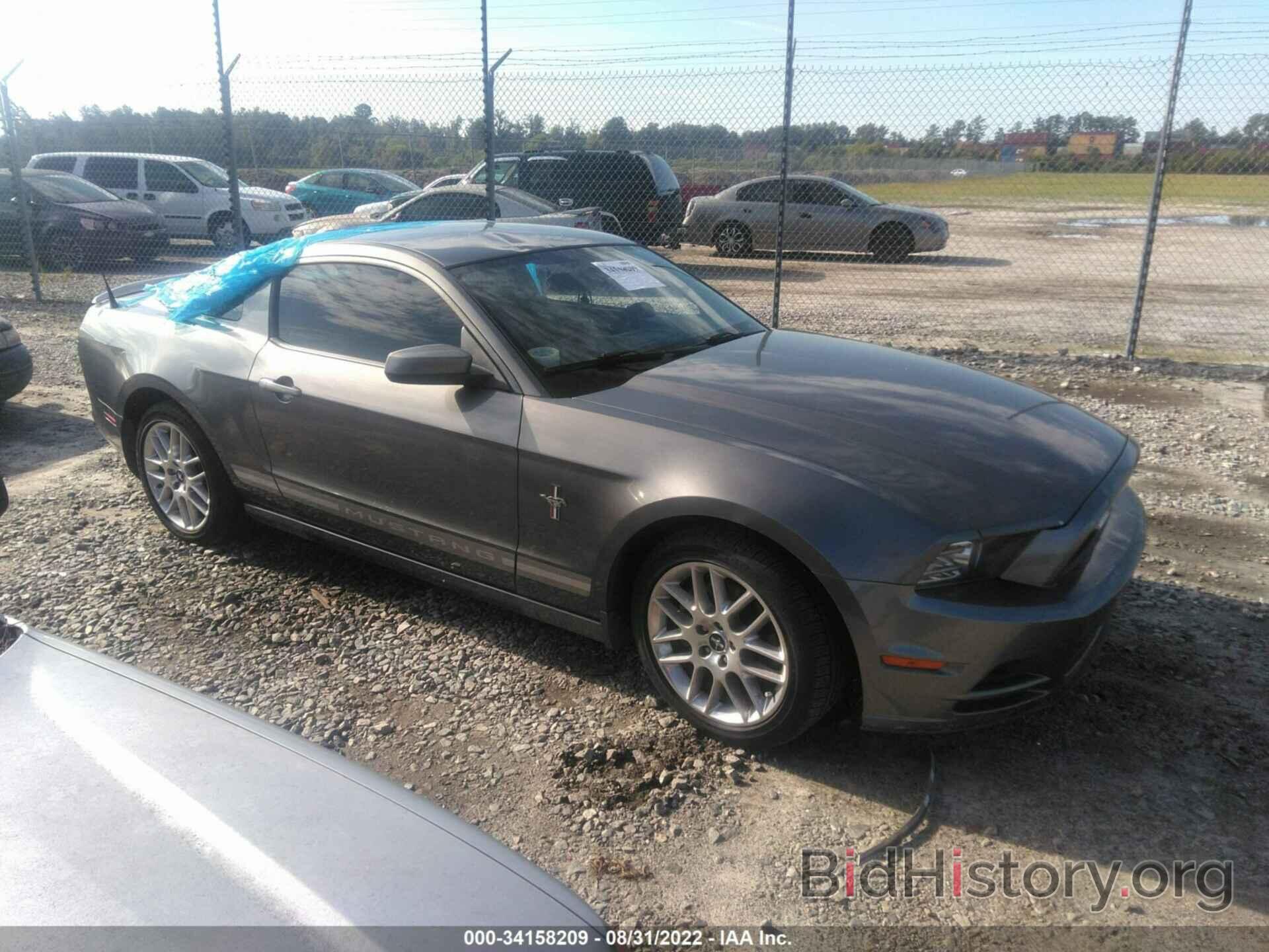 Photo 1ZVBP8AM1E5283083 - FORD MUSTANG 2014