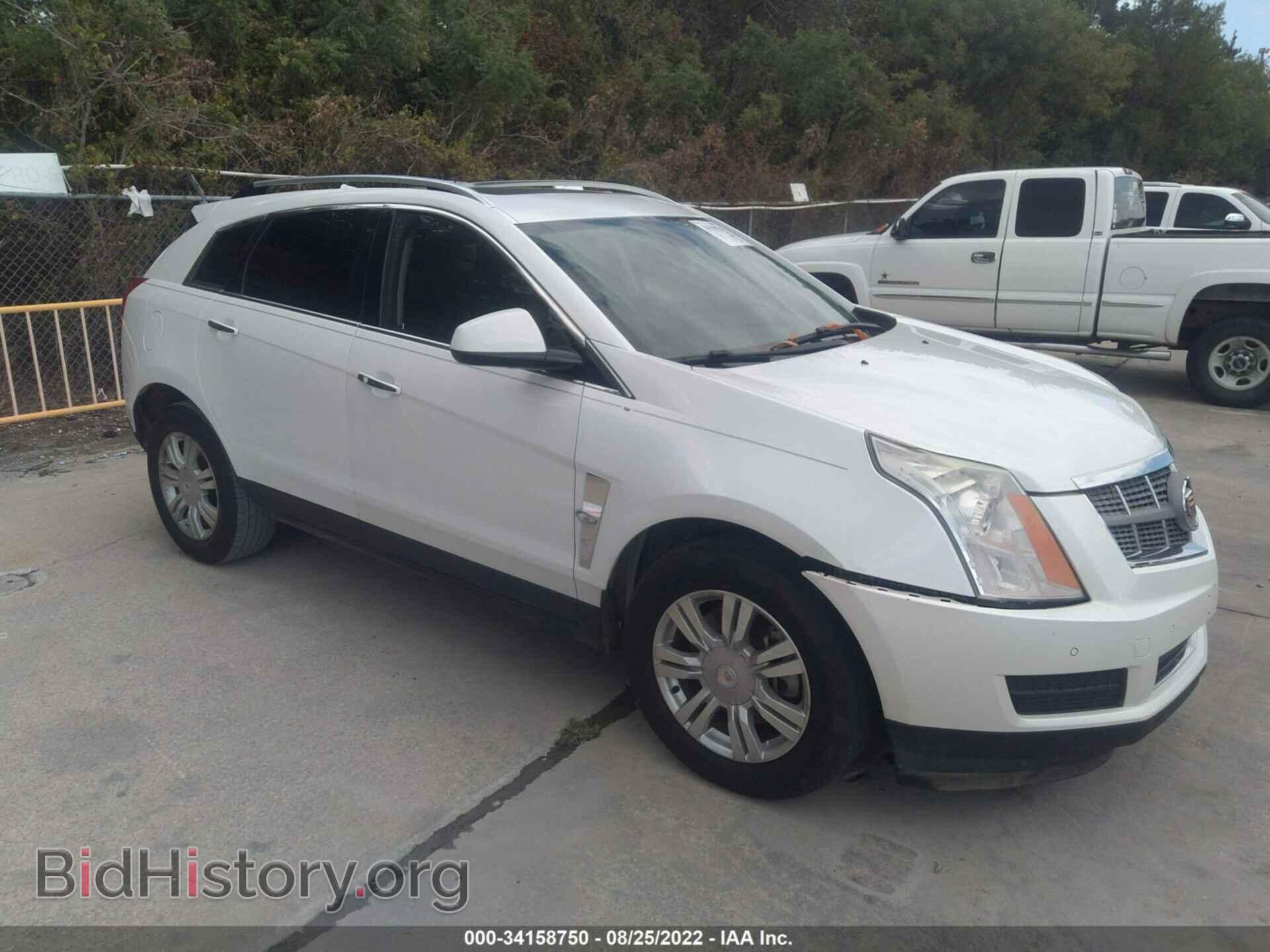 Фотография 3GYFNAE37CS532809 - CADILLAC SRX 2012