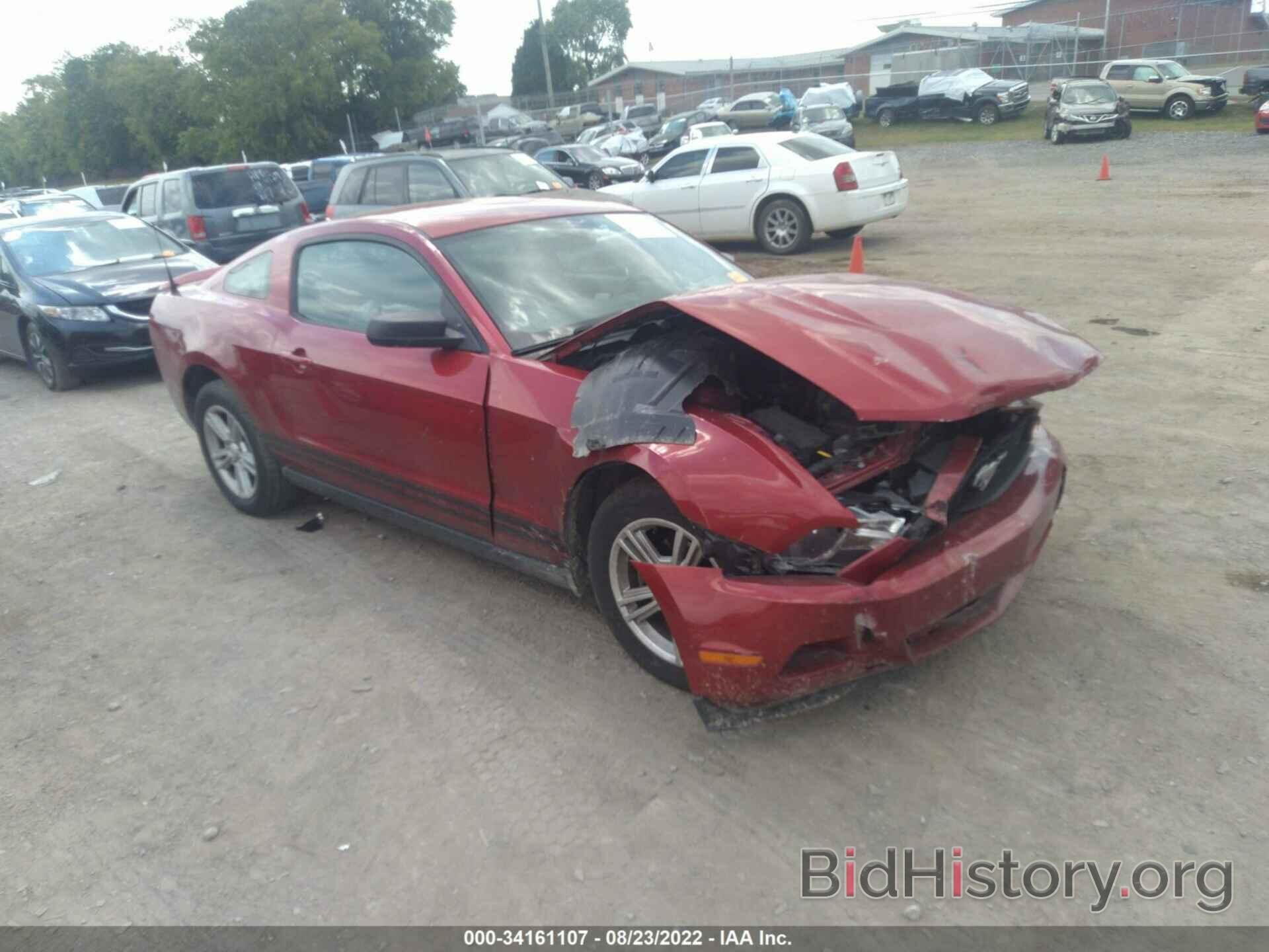 Photo 1ZVBP8AN4A5133407 - FORD MUSTANG 2010