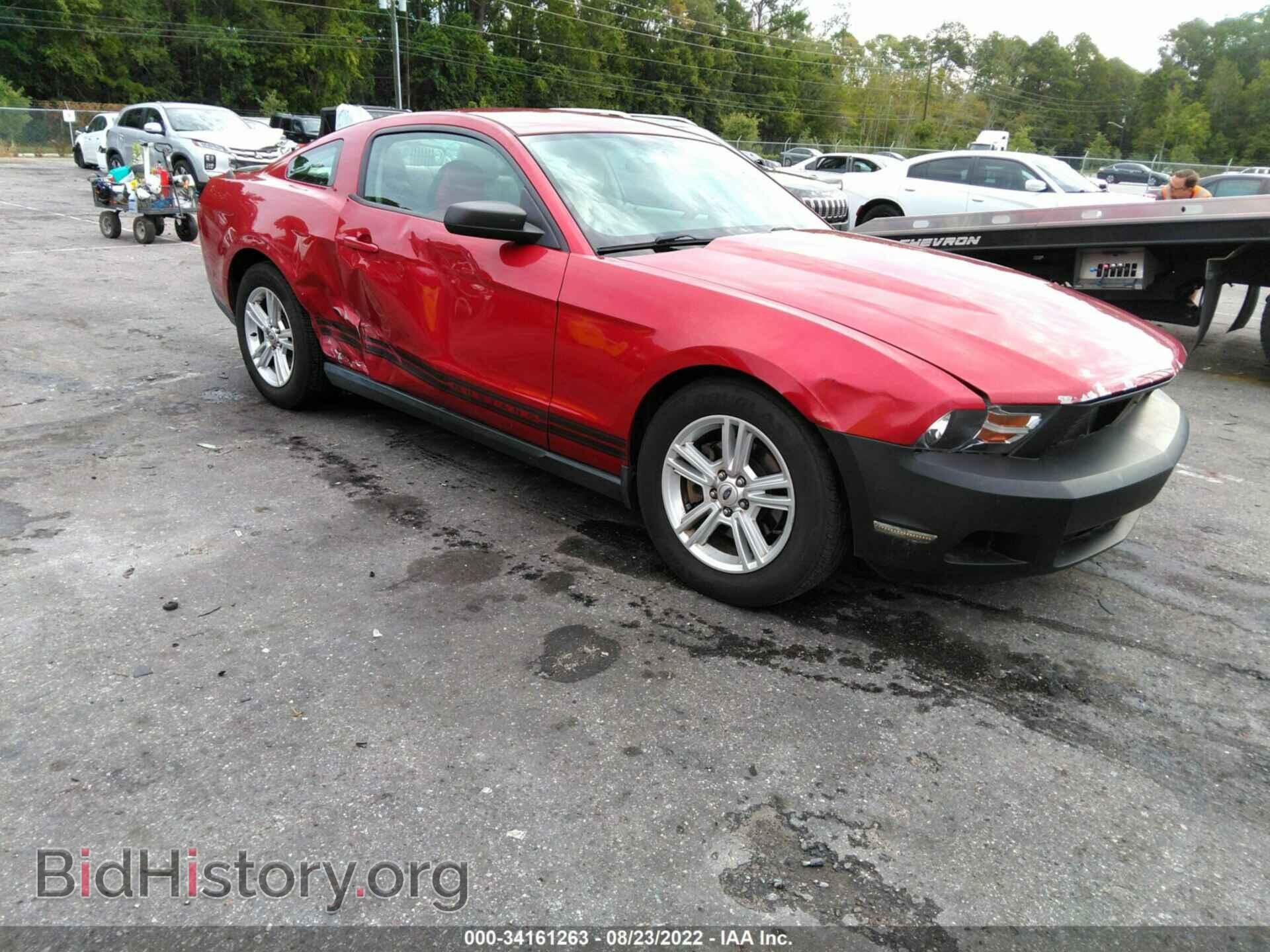 Photo 1ZVBP8AM2B5167905 - FORD MUSTANG 2011