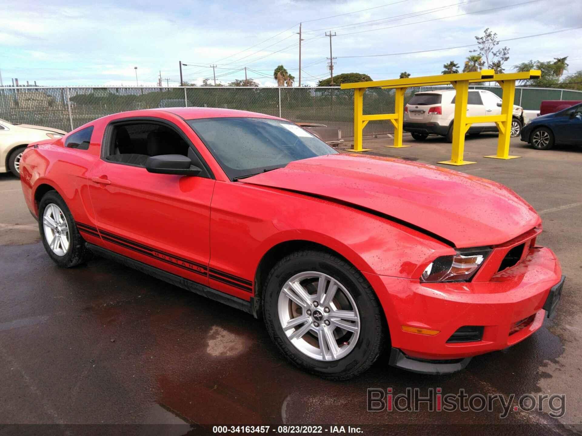 Photo 1ZVBP8AM0C5256910 - FORD MUSTANG 2012