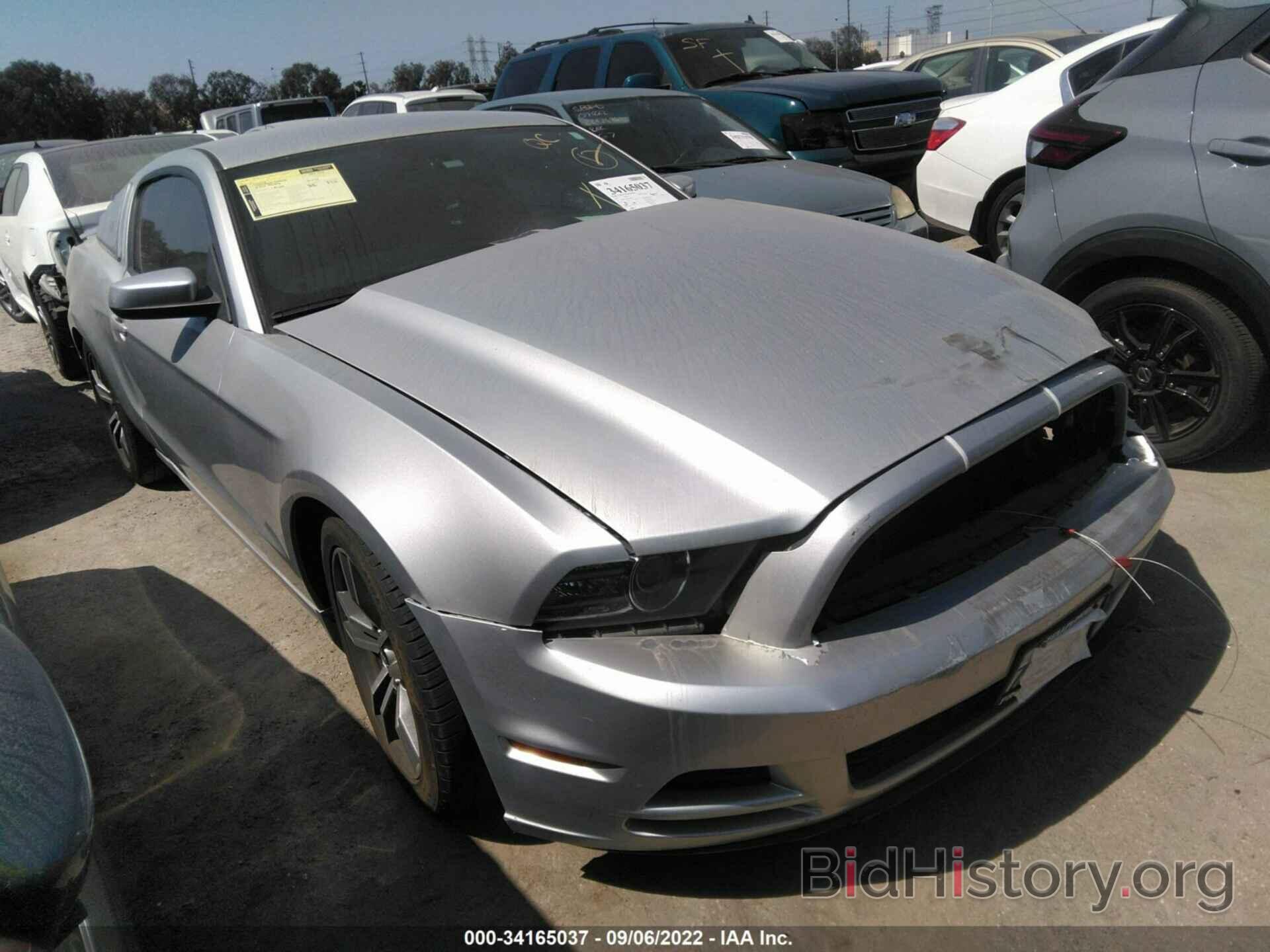 Photo 1ZVBP8AM2E5201880 - FORD MUSTANG 2014