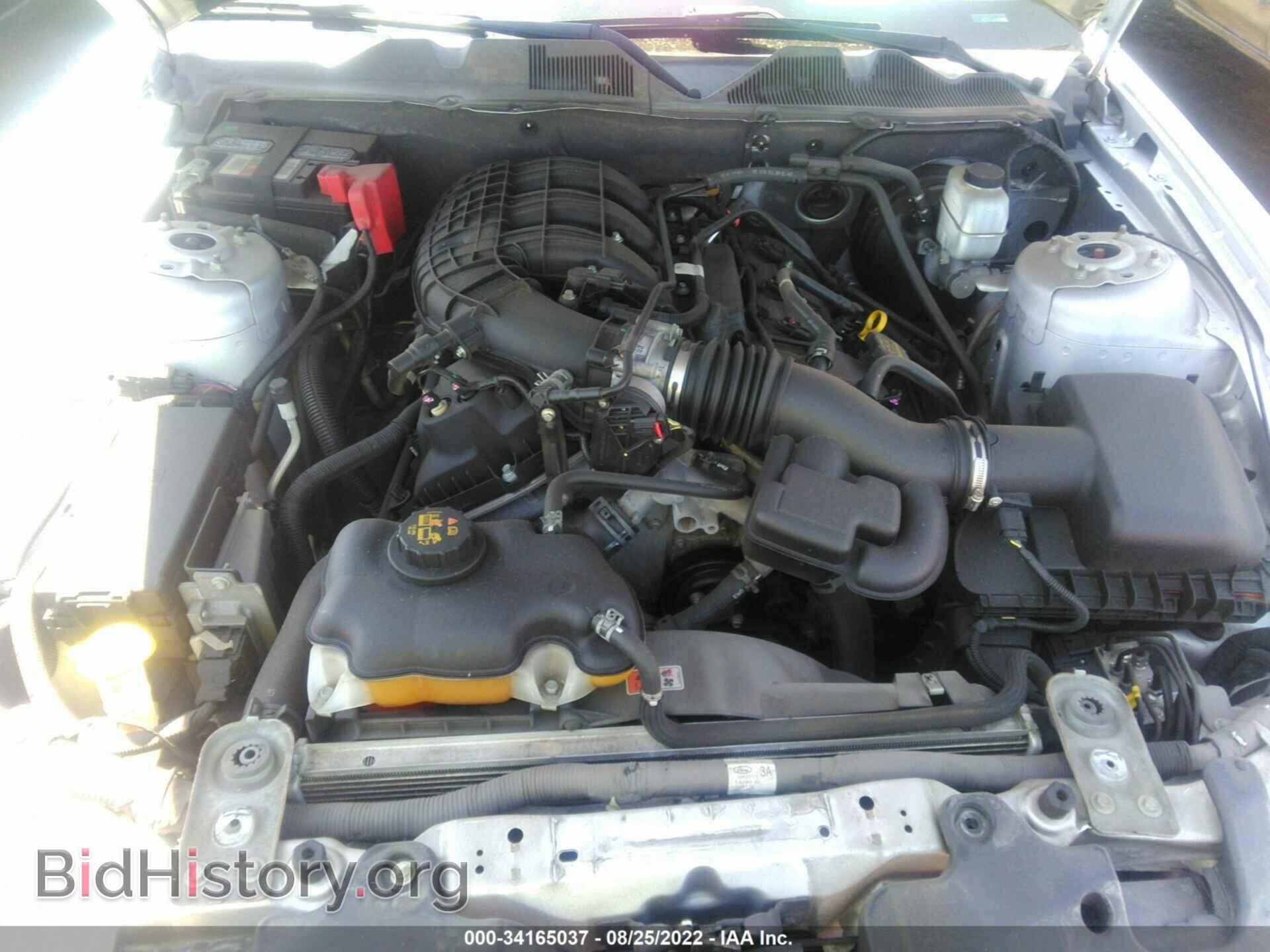 2014 FORD MUSTANG - VIN: 1ZVBP8AM2E5201880 - Фото 10