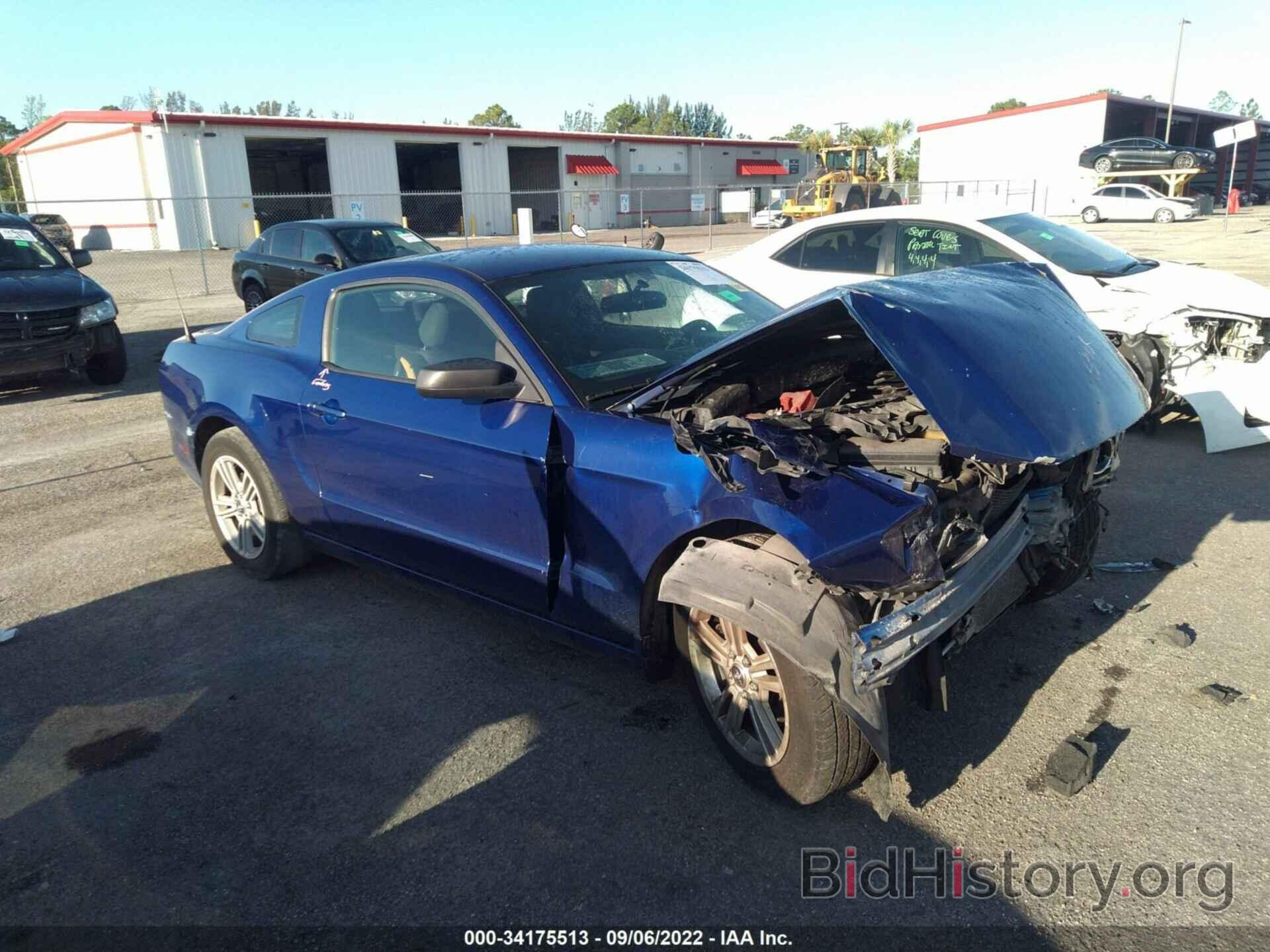 Photo 1ZVBP8AM7E5258351 - FORD MUSTANG 2014