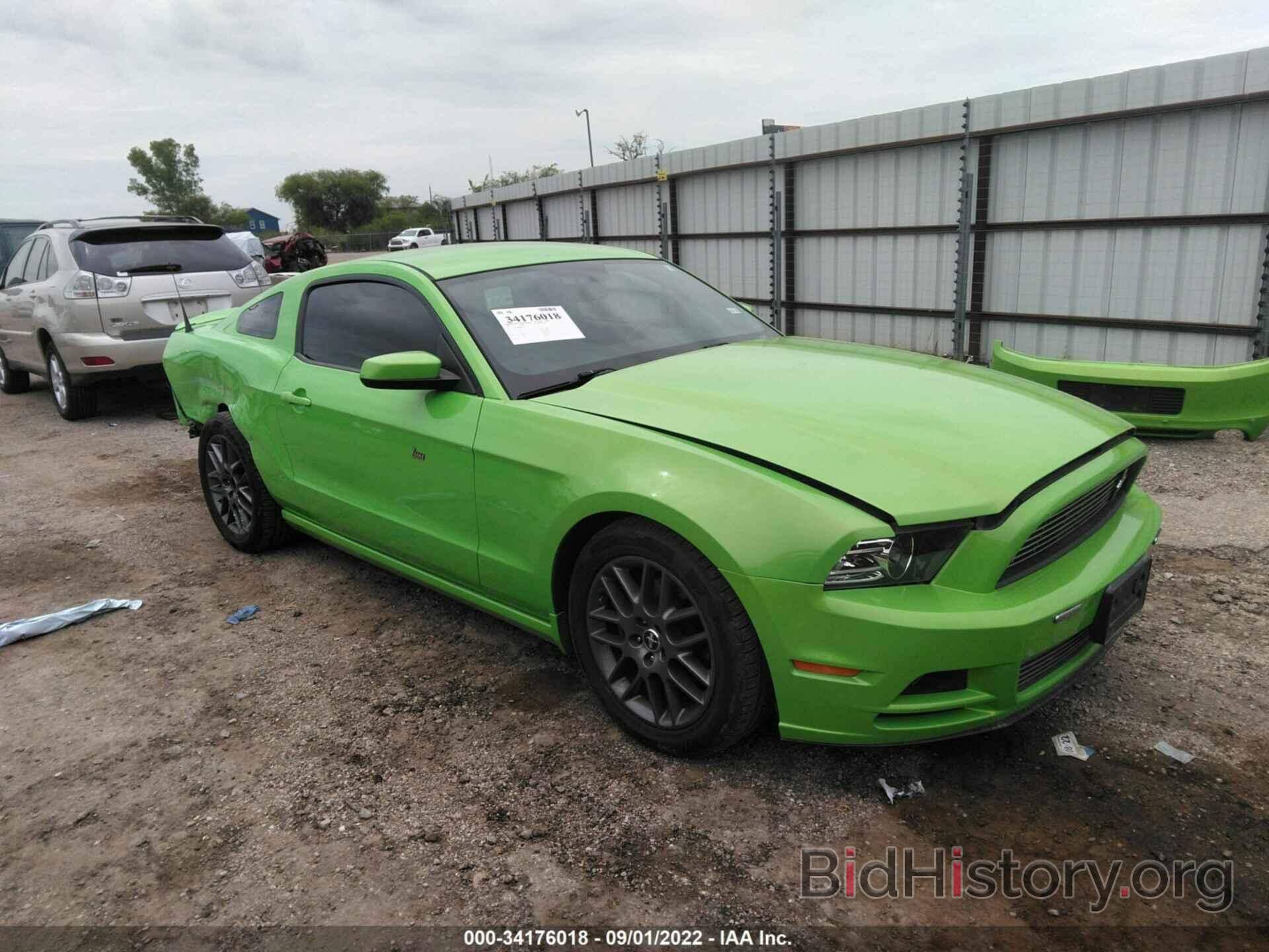 Photo 1ZVBP8AM6D5246321 - FORD MUSTANG 2013