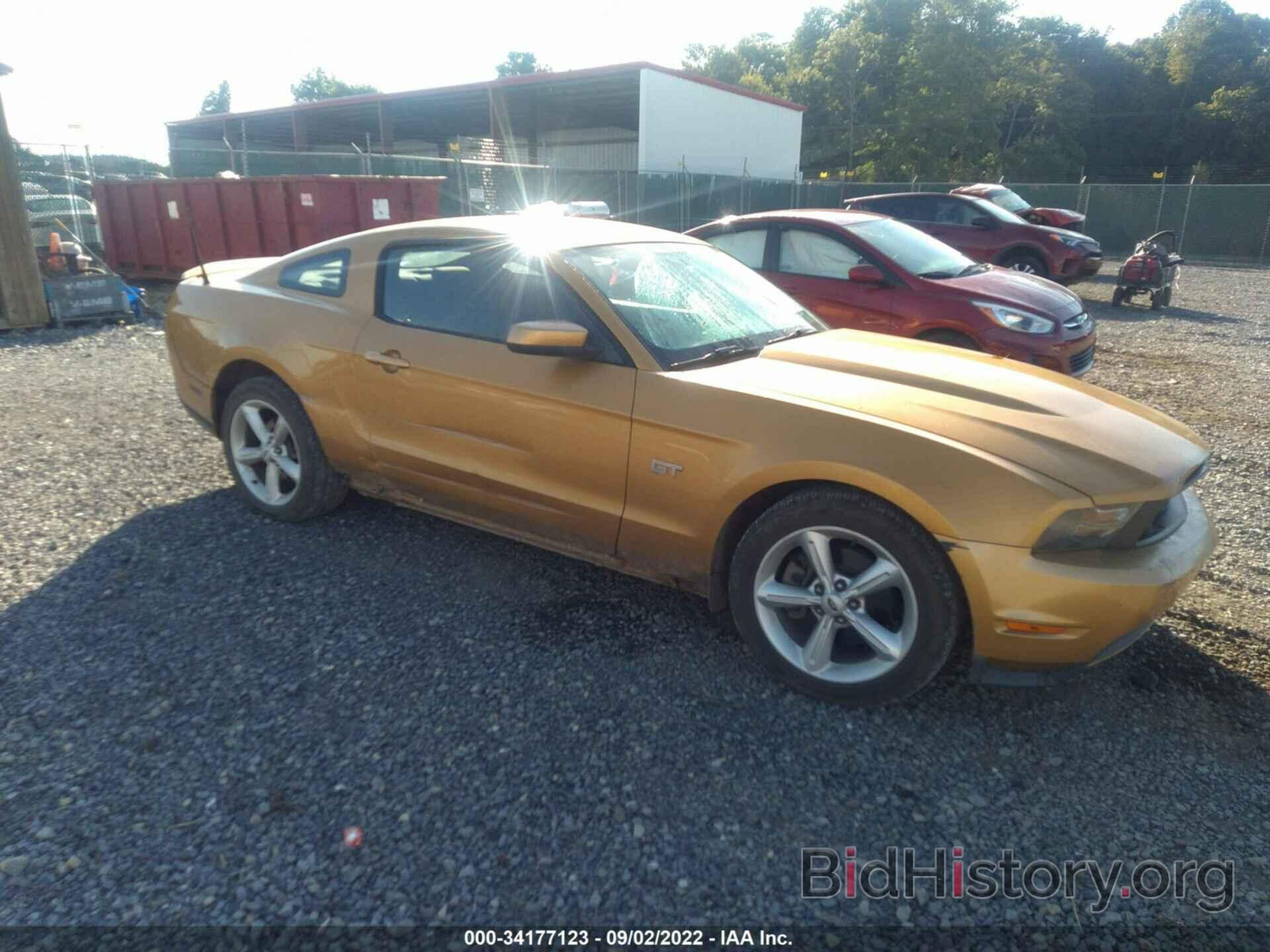 Photo 1ZVBP8CH1A5103921 - FORD MUSTANG 2010