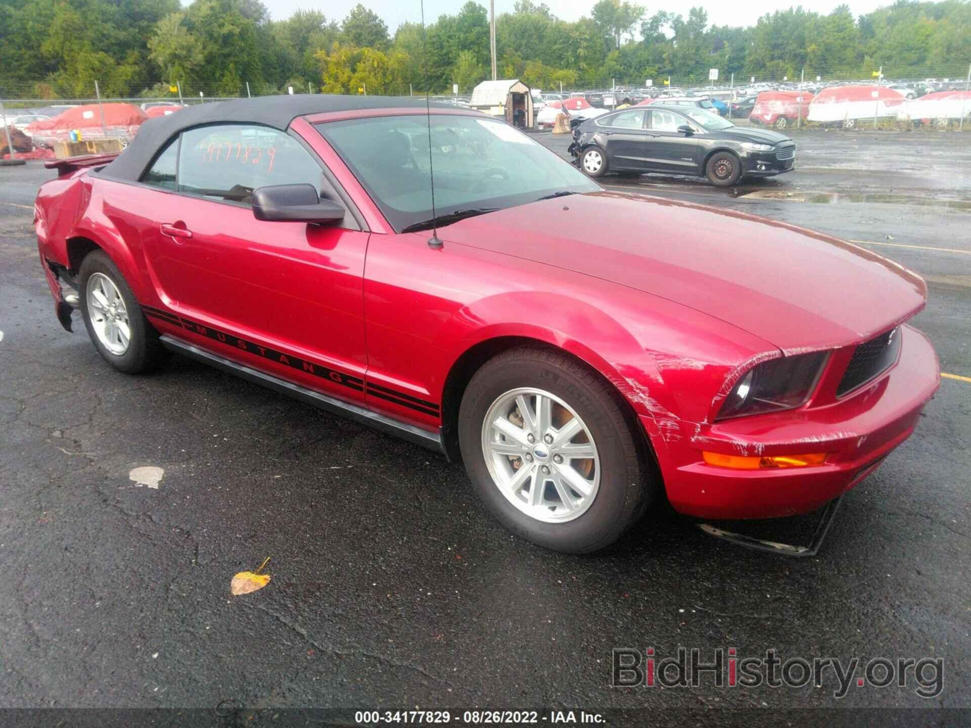 Photo 1ZVFT84N475316999 - FORD MUSTANG 2007