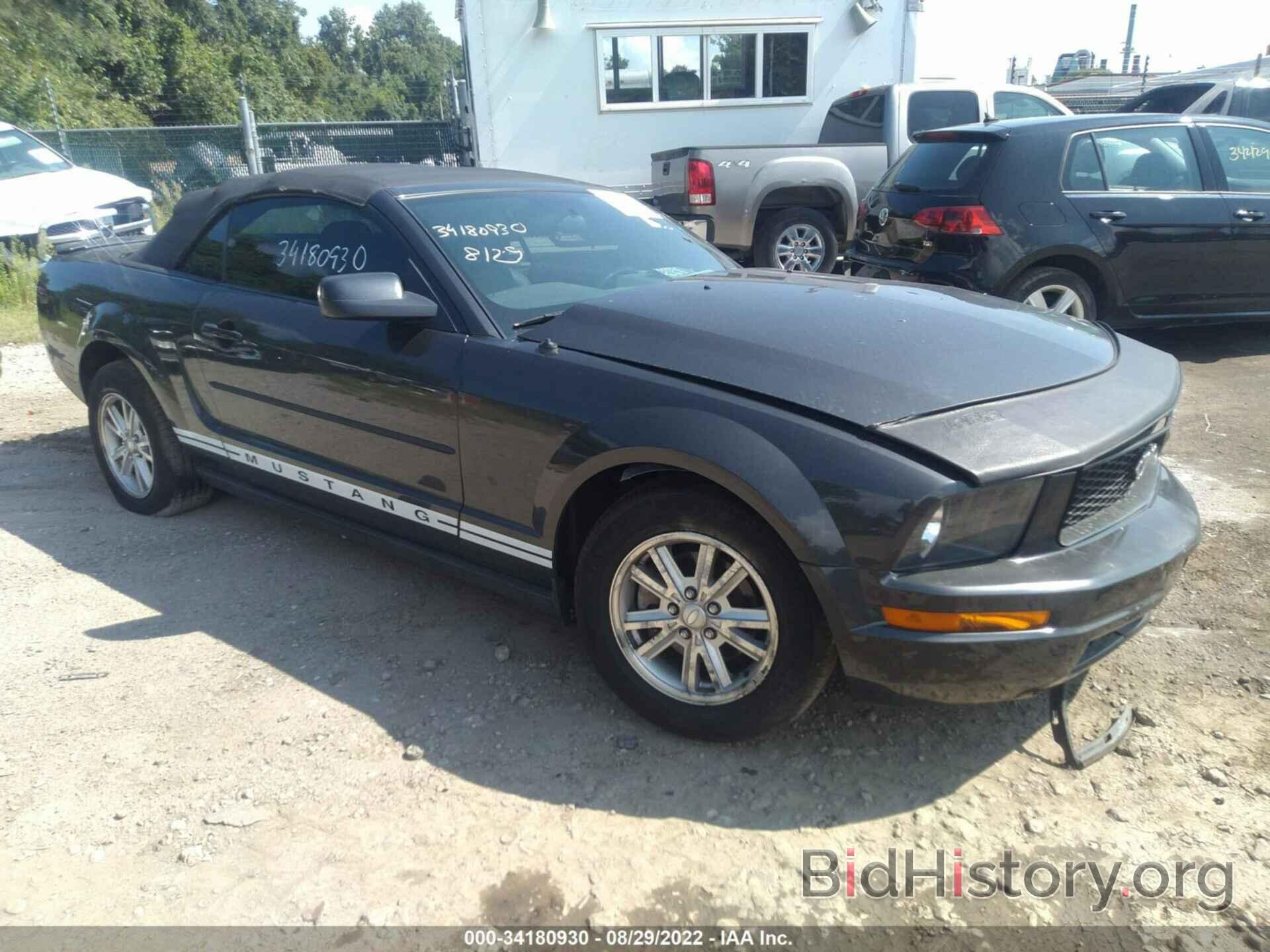 Photo 1ZVHT84N885138086 - FORD MUSTANG 2008