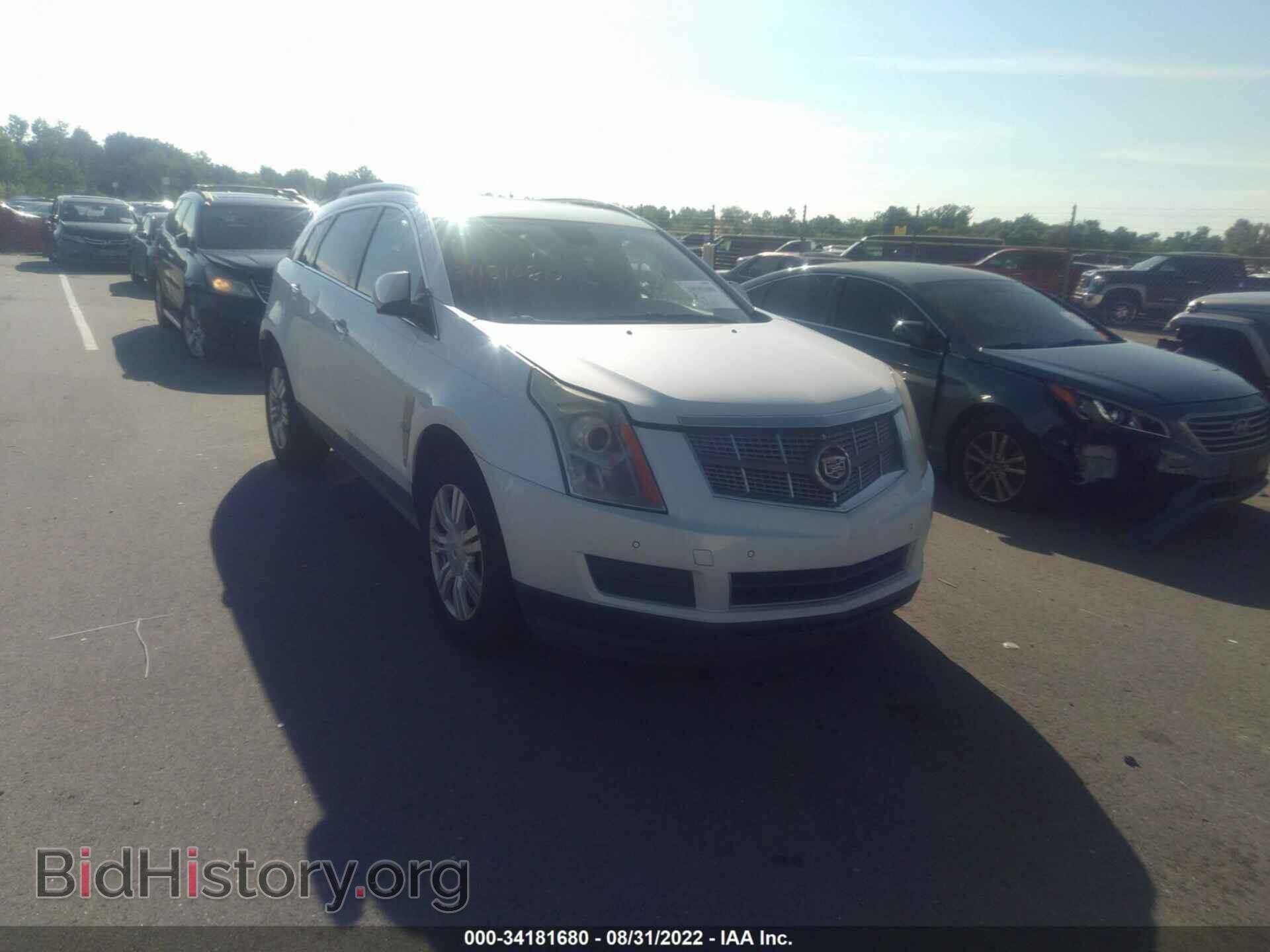 Фотография 3GYFNAEY5BS522516 - CADILLAC SRX 2011