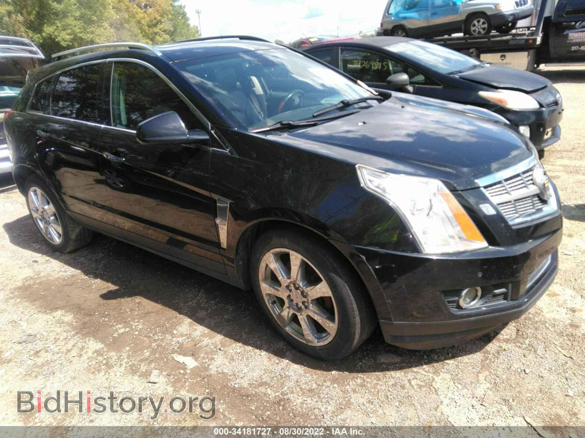 Фотография 3GYFNCEY1AS585669 - CADILLAC SRX 2010