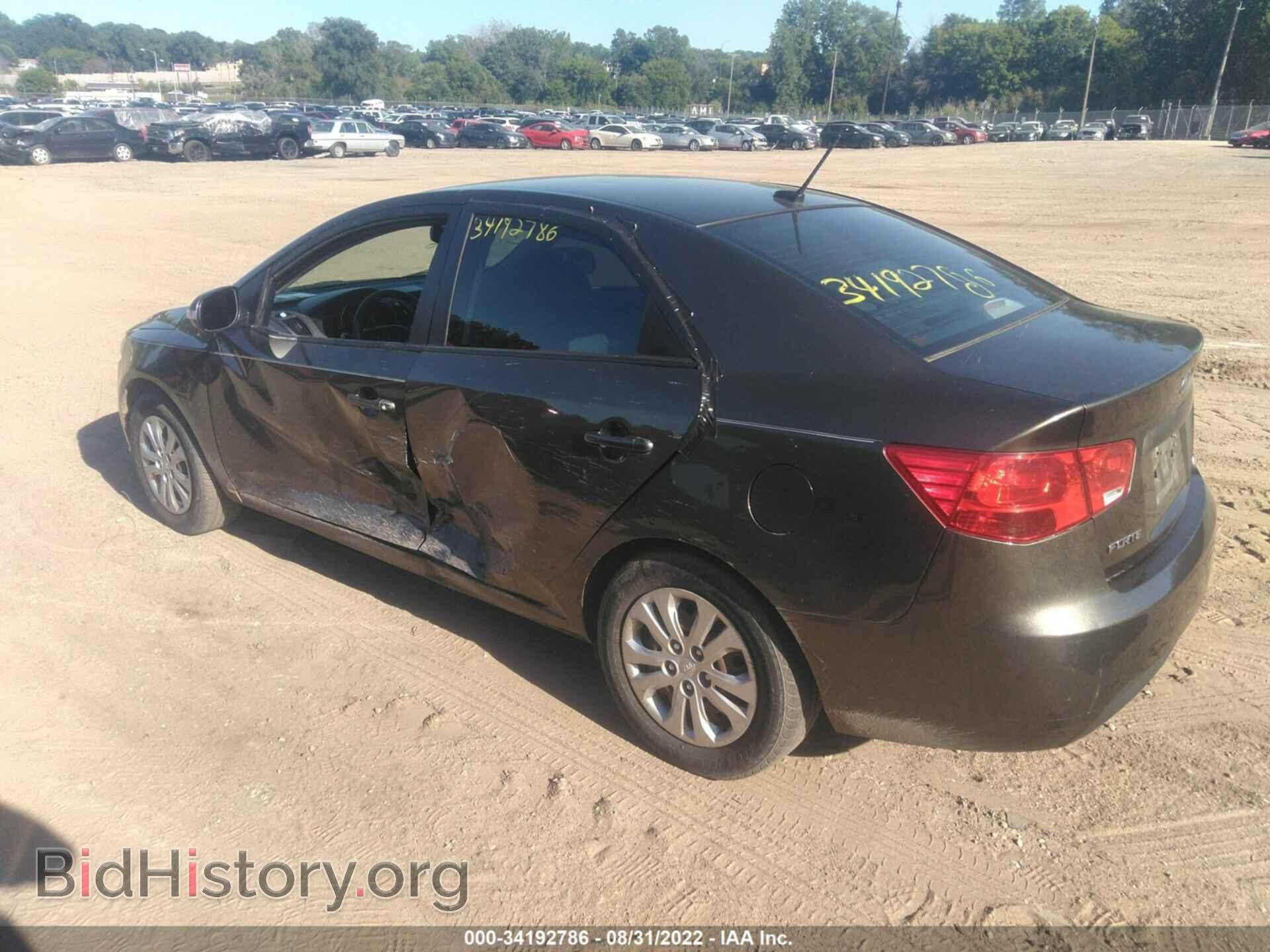 2010 KIA FORTE - VIN: KNAFU4A29A5242146 - Фото 3