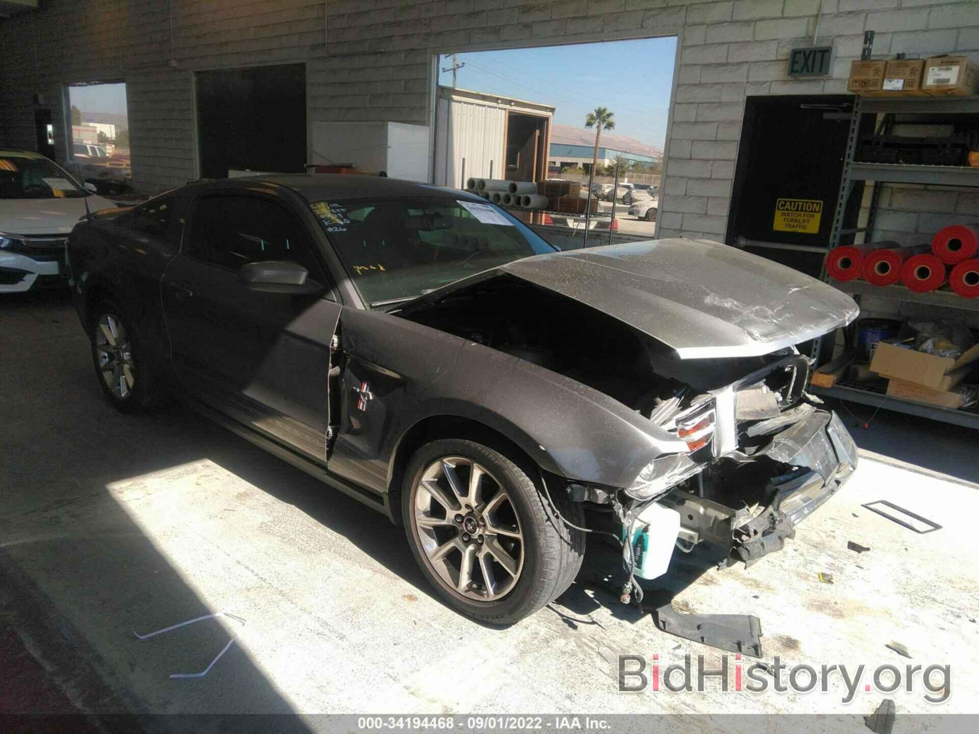Photo 1ZVBP8AN0A5180501 - FORD MUSTANG 2010