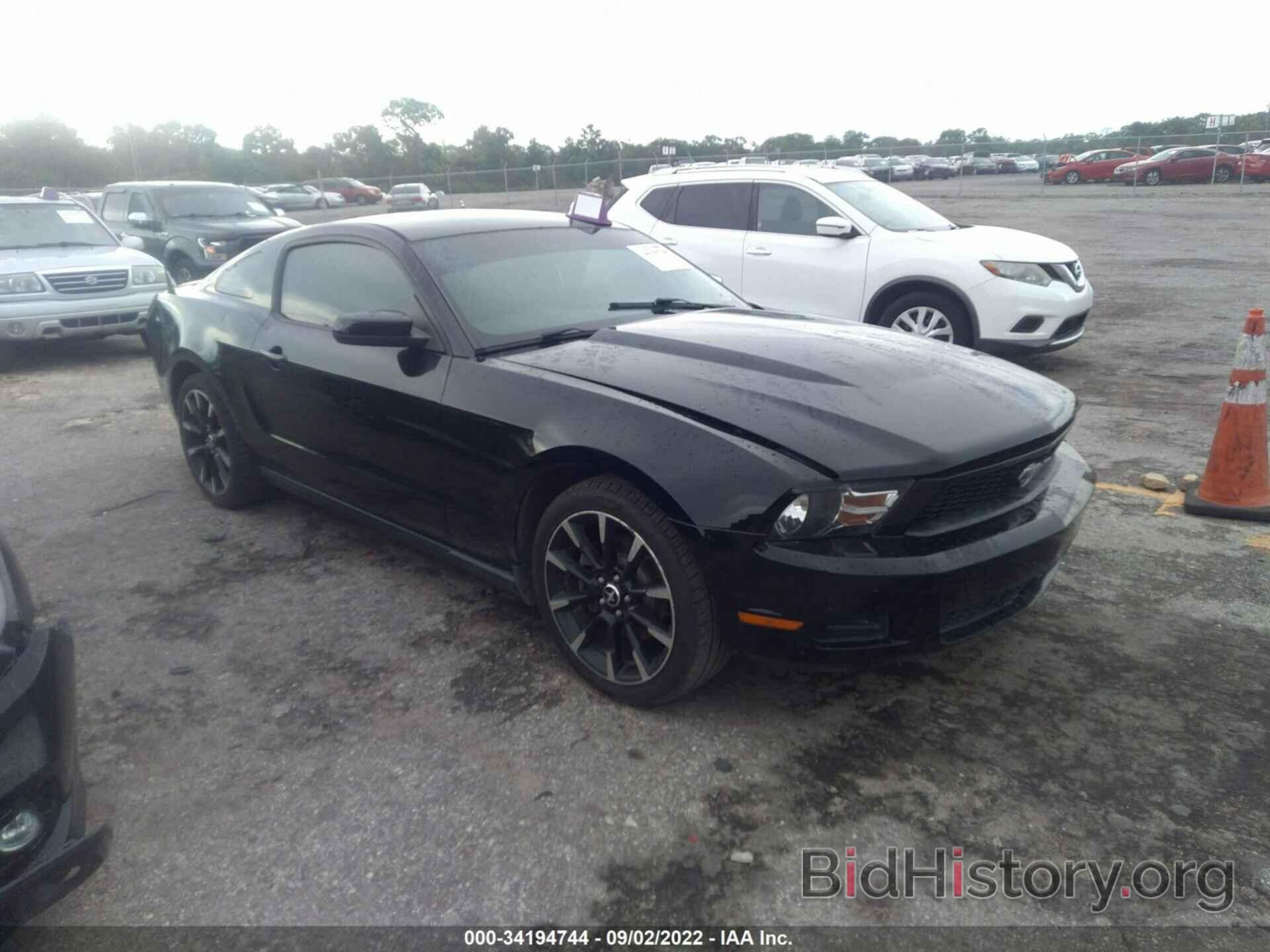 Photo 1ZVBP8AM2C5240403 - FORD MUSTANG 2012