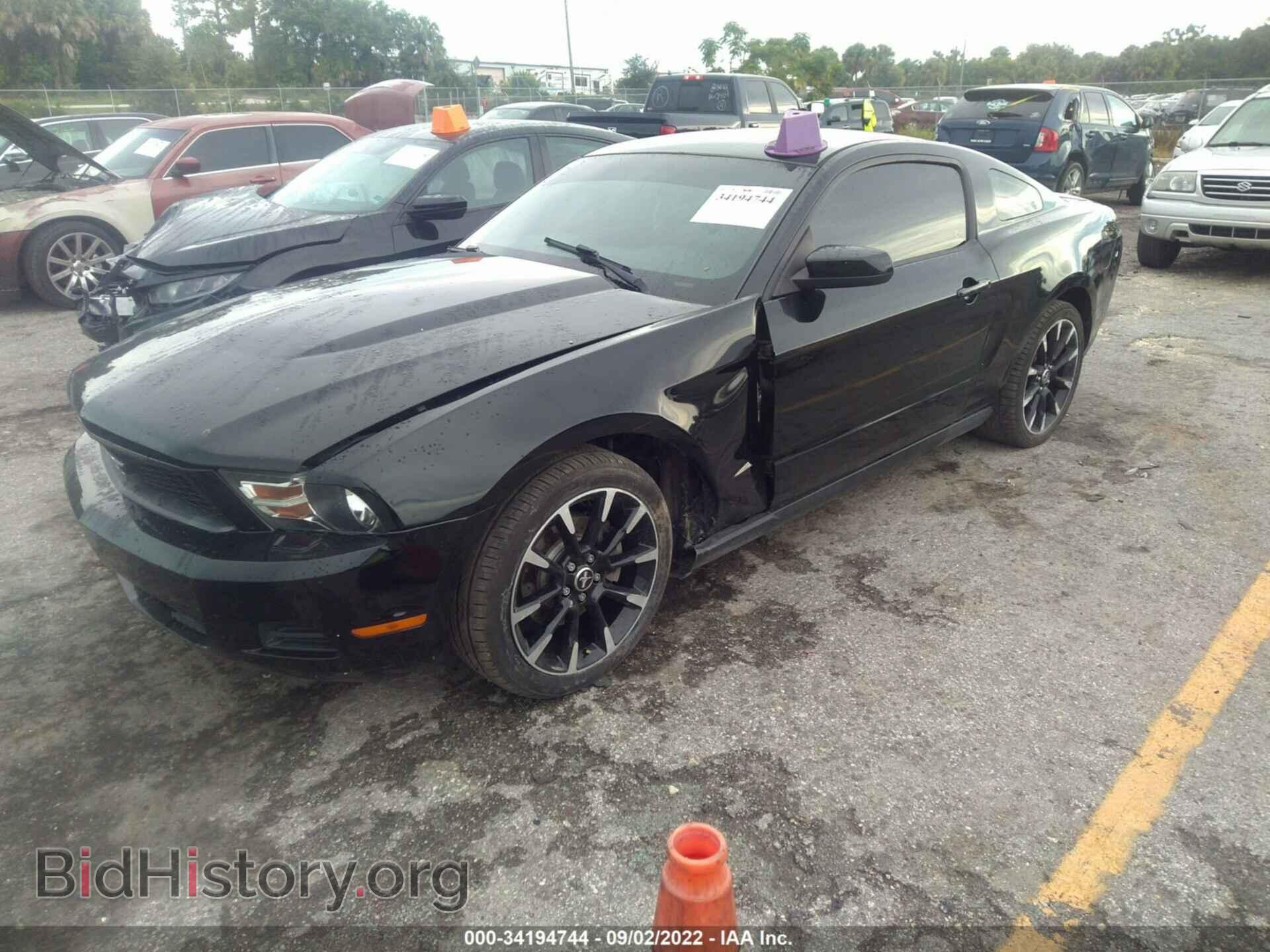 2012 FORD MUSTANG - VIN: 1ZVBP8AM2C5240403 - Фото 2