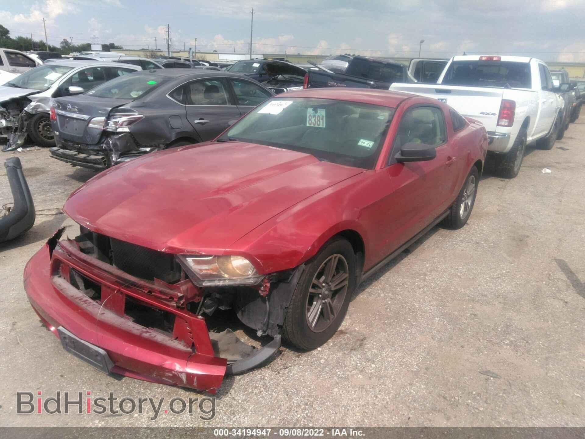 2011 FORD MUSTANG - VIN: 1ZVBP8AM0B5111512 - Фото 2