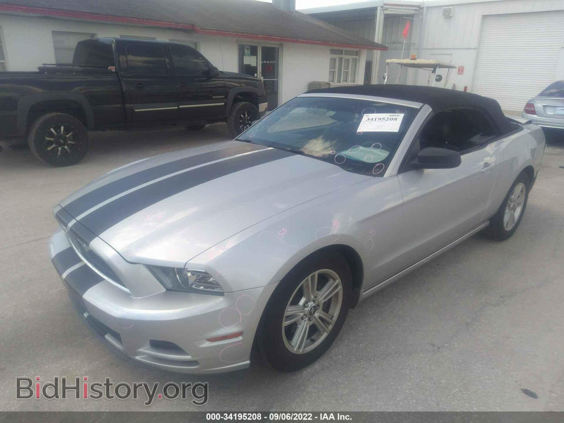 2013 FORD MUSTANG - VIN: 1ZVBP8EM6D5239217 - Фото 2