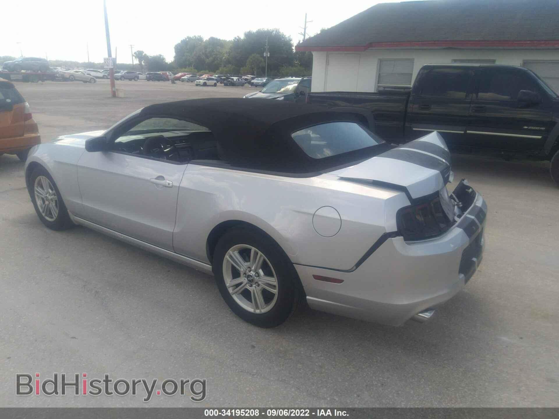 2013 FORD MUSTANG - VIN: 1ZVBP8EM6D5239217 - Фото 3