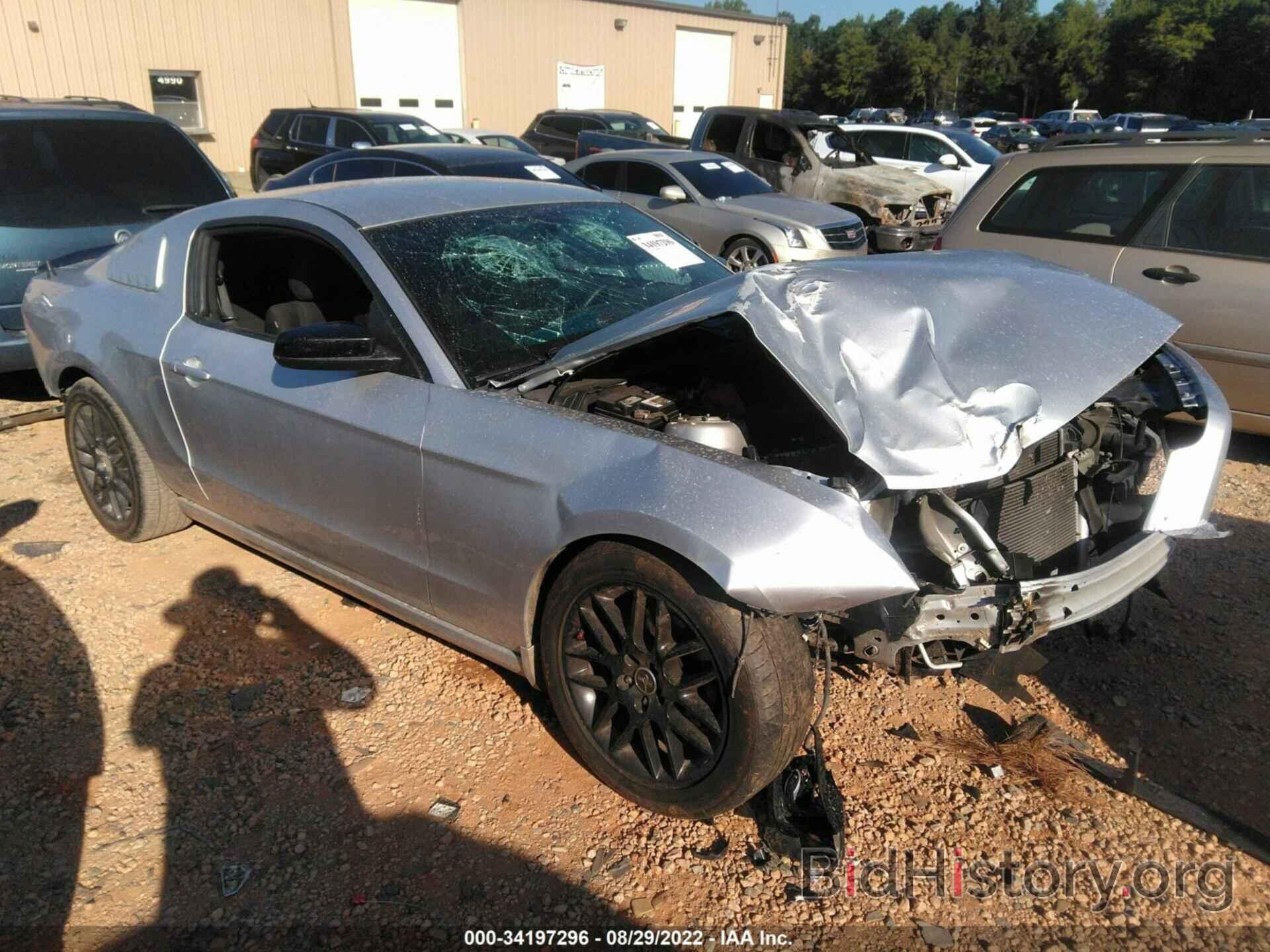 Photo 1ZVBP8AM7E5286988 - FORD MUSTANG 2014