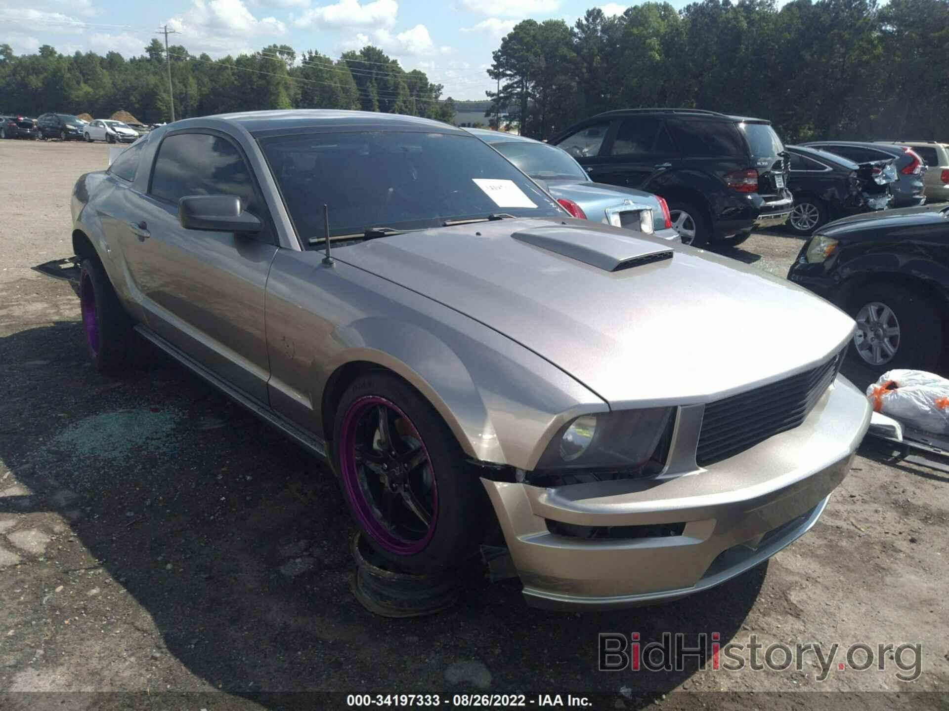 Photo 1ZVHT82H495105696 - FORD MUSTANG 2009