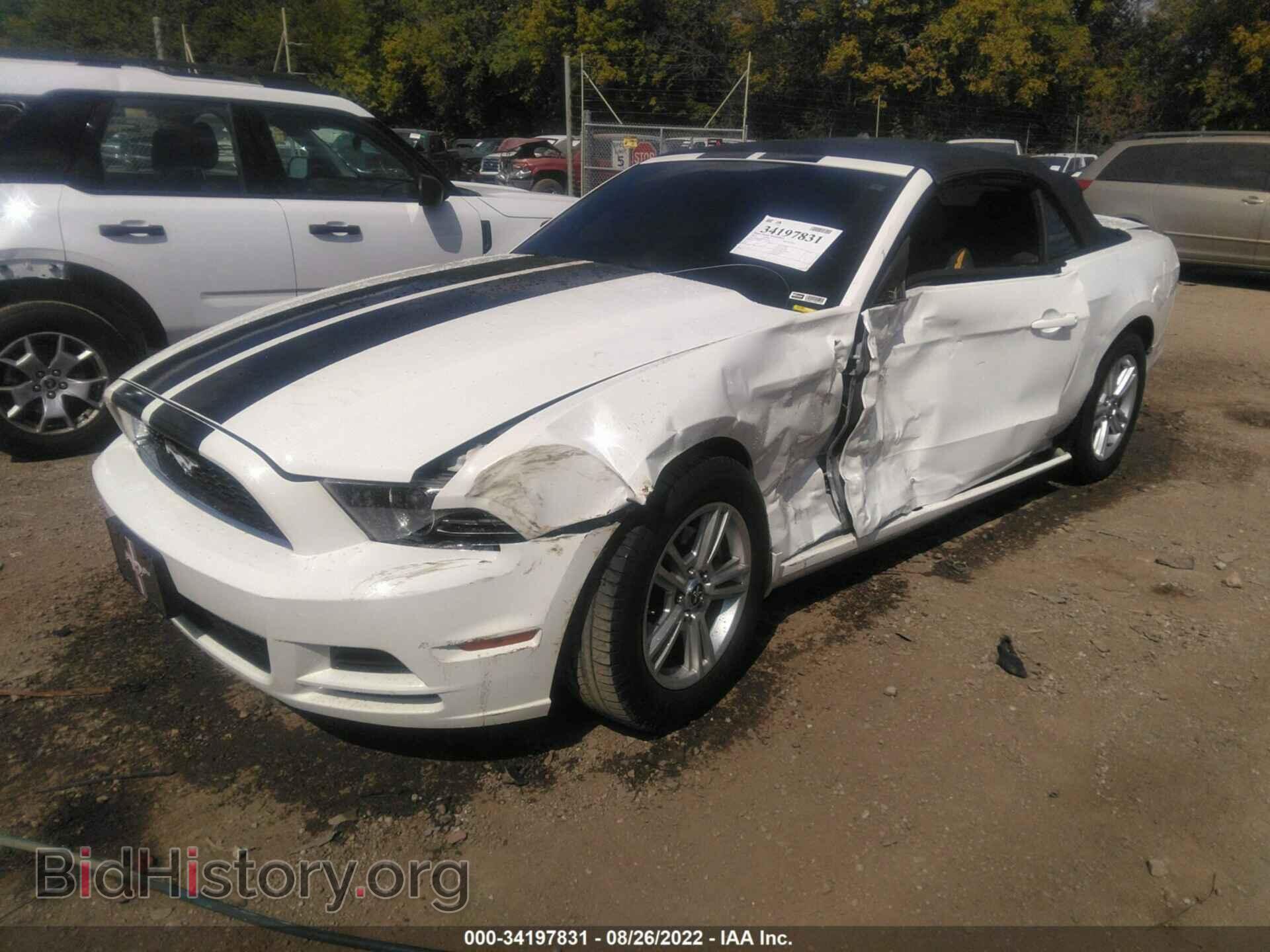 2013 FORD MUSTANG - VIN: 1ZVBP8EM4D5239474 - Фото 2