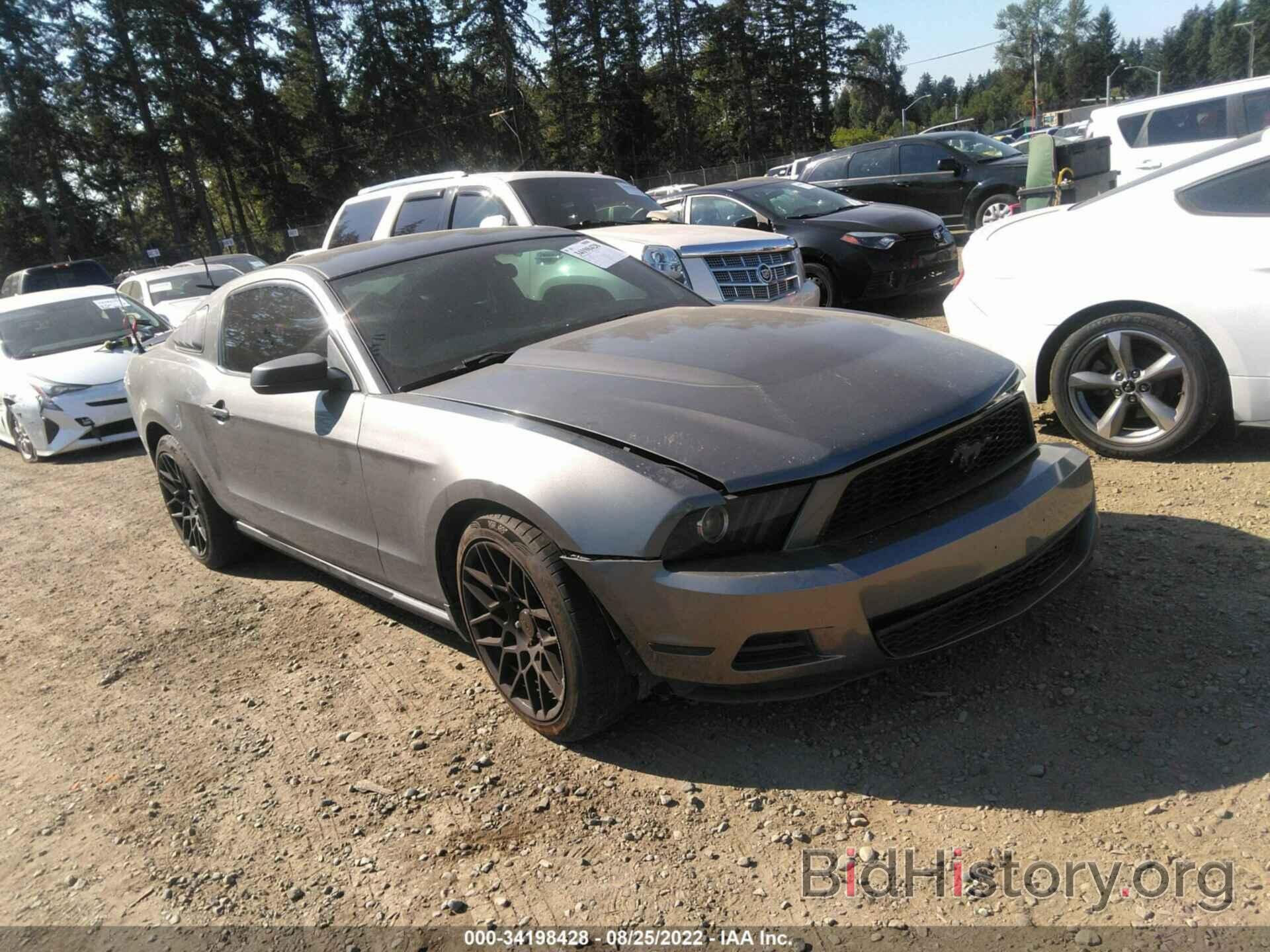 Photo 1ZVBP8AN3A5160324 - FORD MUSTANG 2010