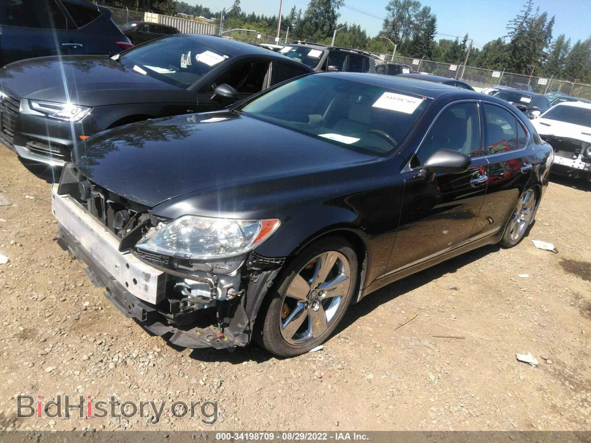 2009 LEXUS LS 460 - VIN: JTHCL46F095004054 - Фото 2