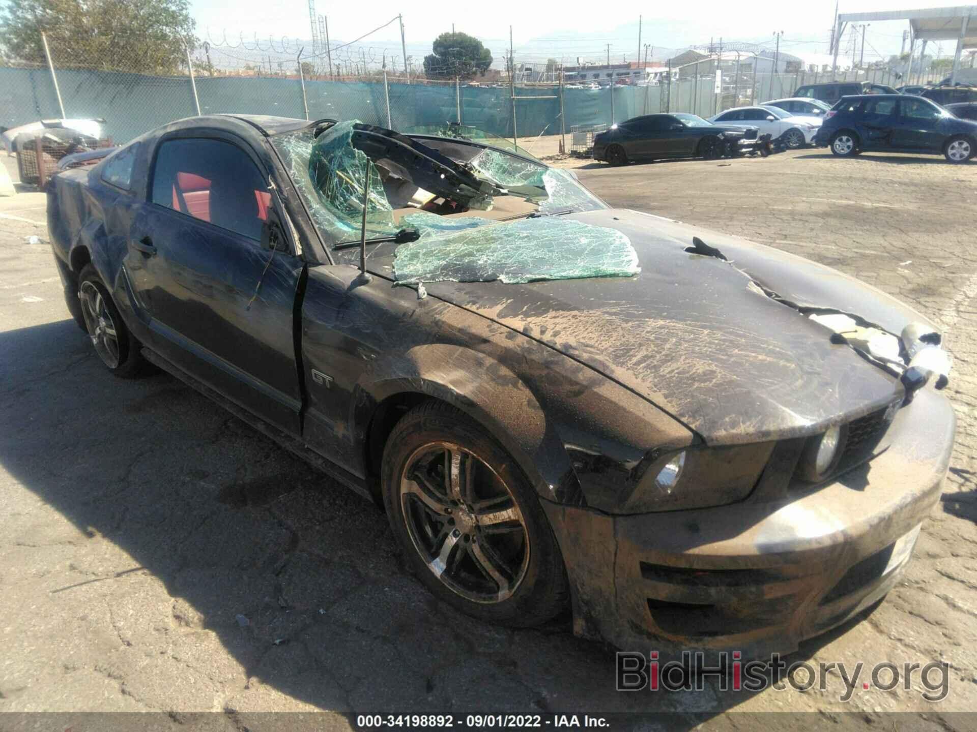 Photo 1ZVHT82H265161390 - FORD MUSTANG 2006