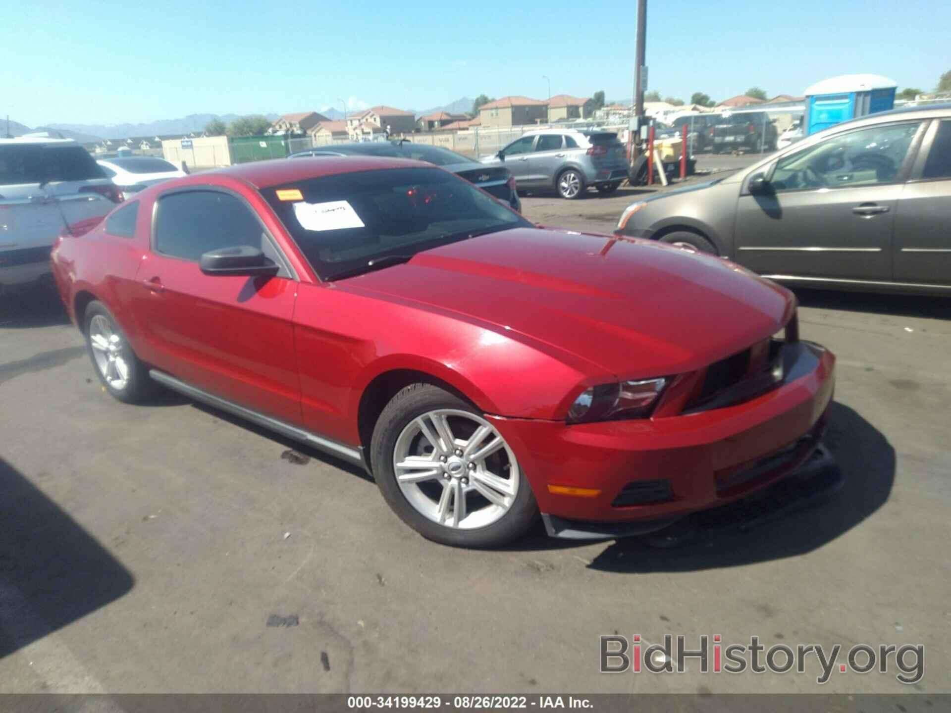 Photo 1ZVBP8AN1A5166123 - FORD MUSTANG 2010