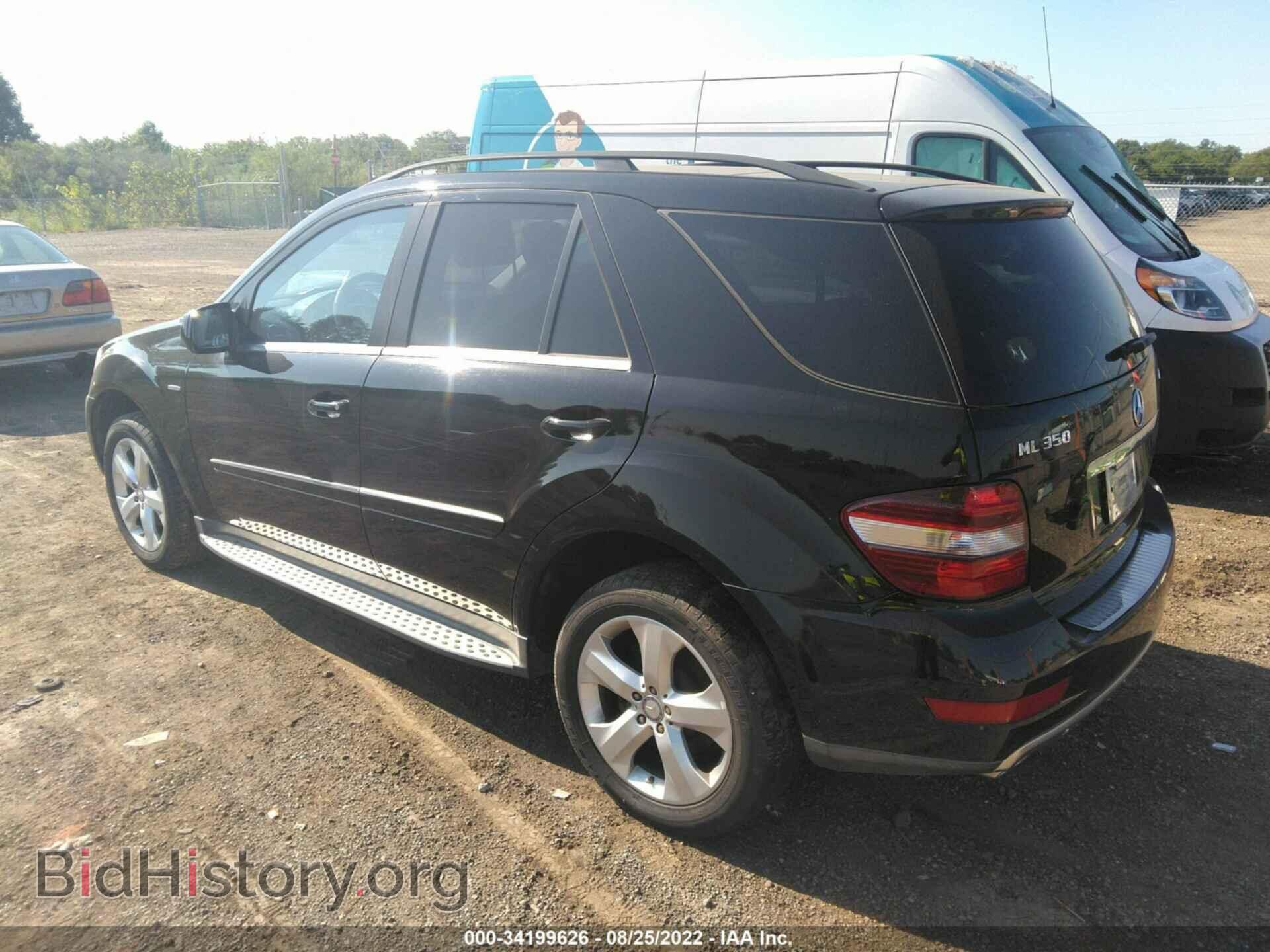 2010 MERCEDES-BENZ M-CLASS - VIN: 4JGBB2FB8AA590639 - Фото 3