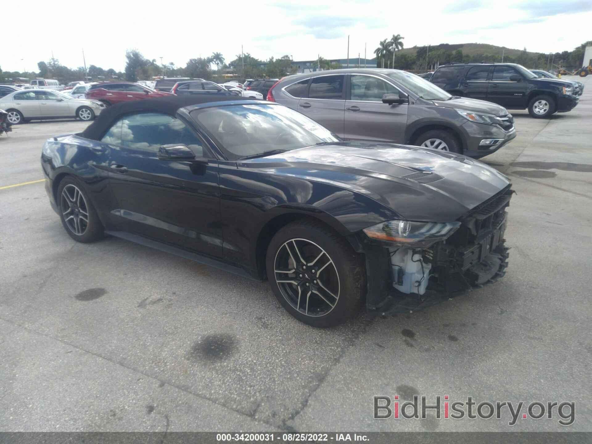 Photo 1FATP8FF1K5182368 - FORD MUSTANG 2019
